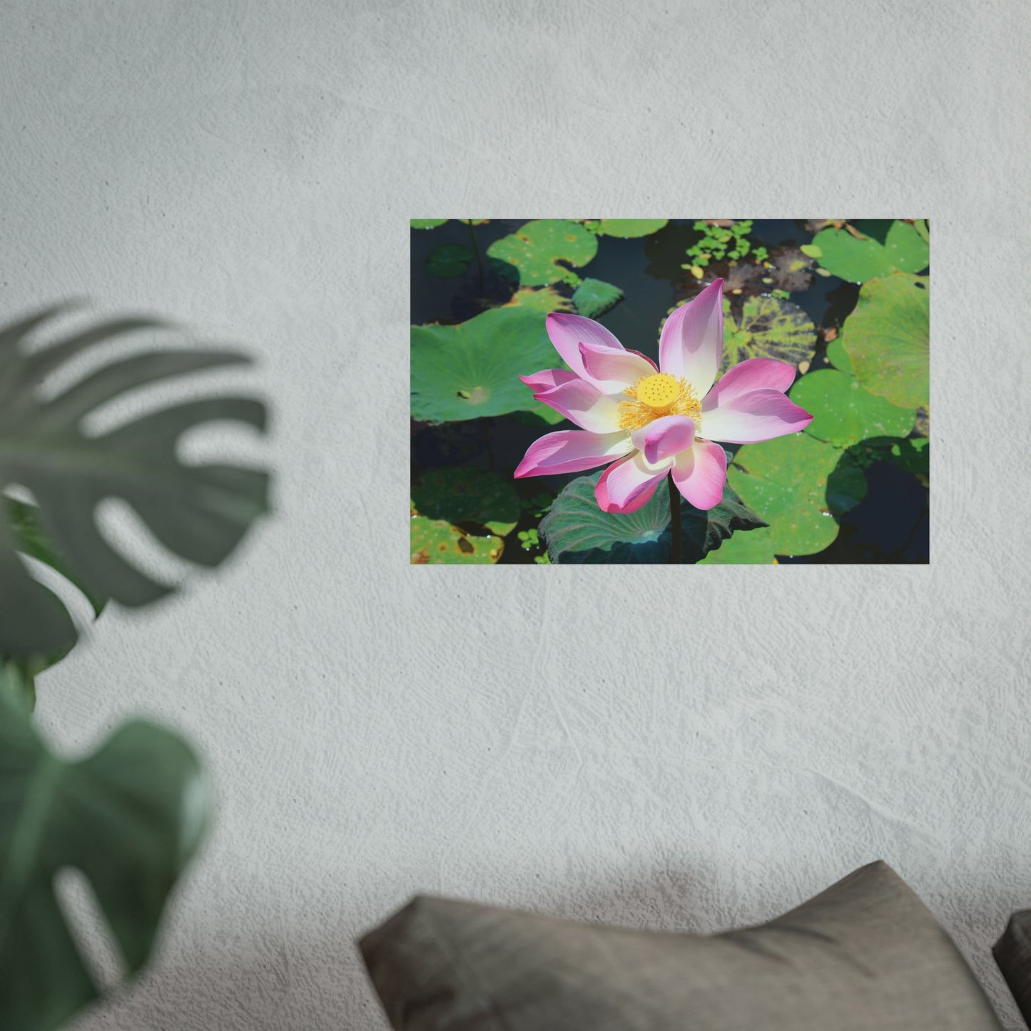 Pink lotus - Fine Art Posters