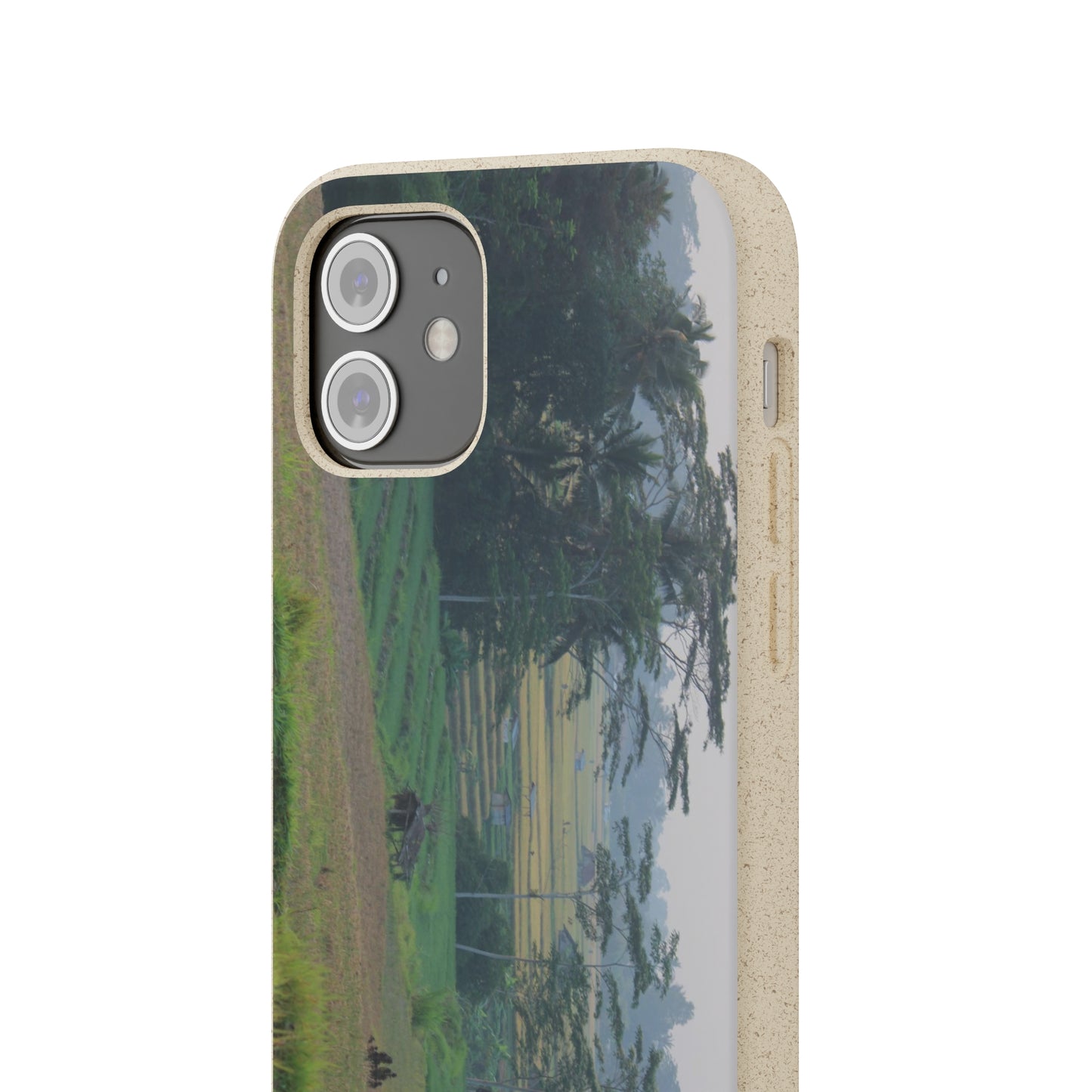 Rice fields - Biodegradable Cases