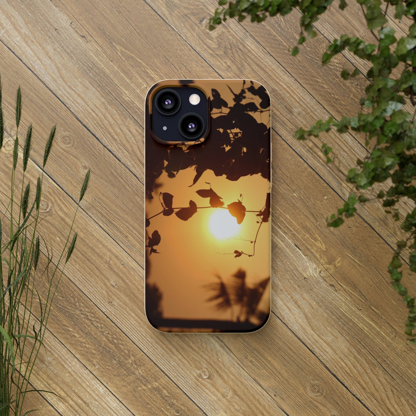 Sunset - Biodegradable Cases