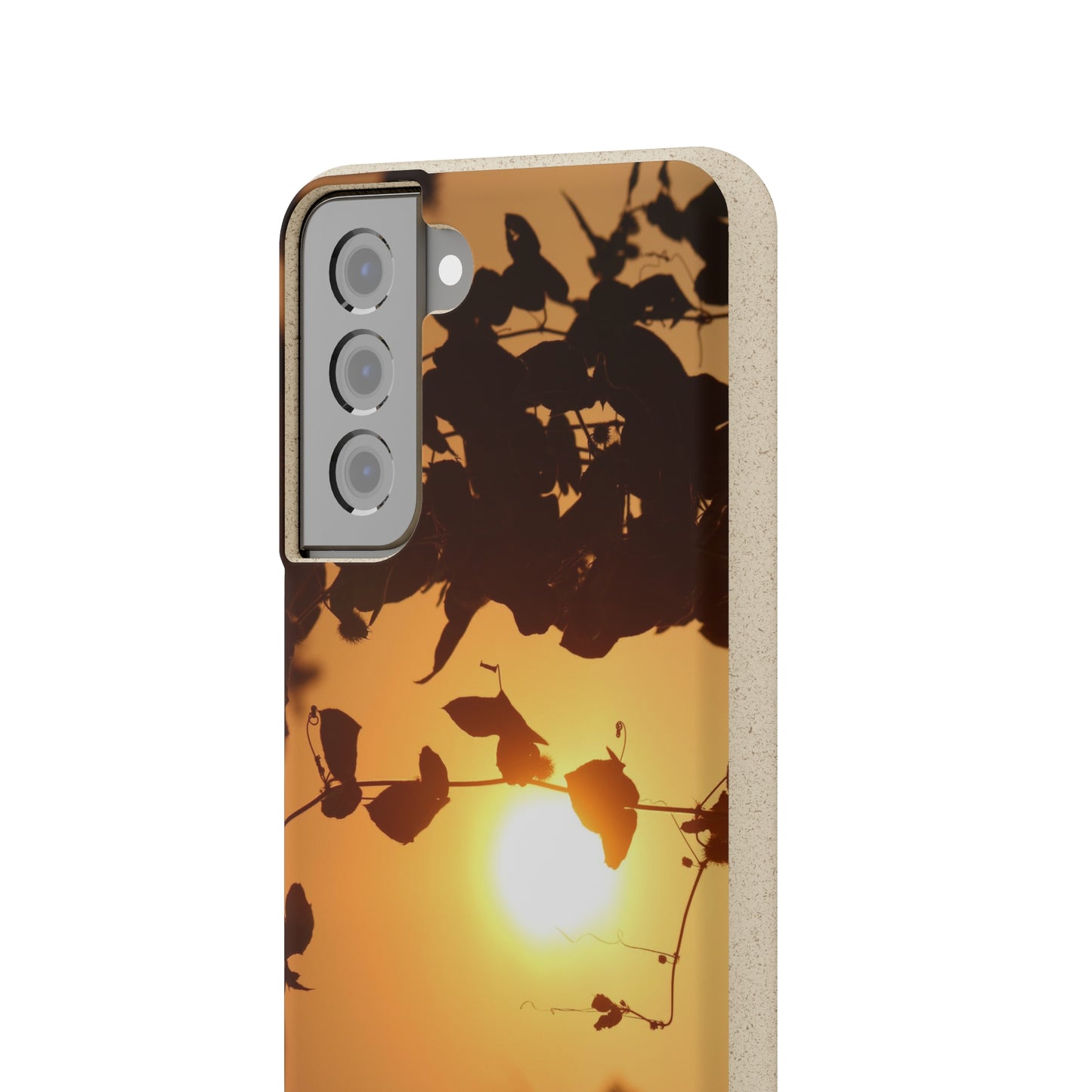 Sunset - Biodegradable Cases
