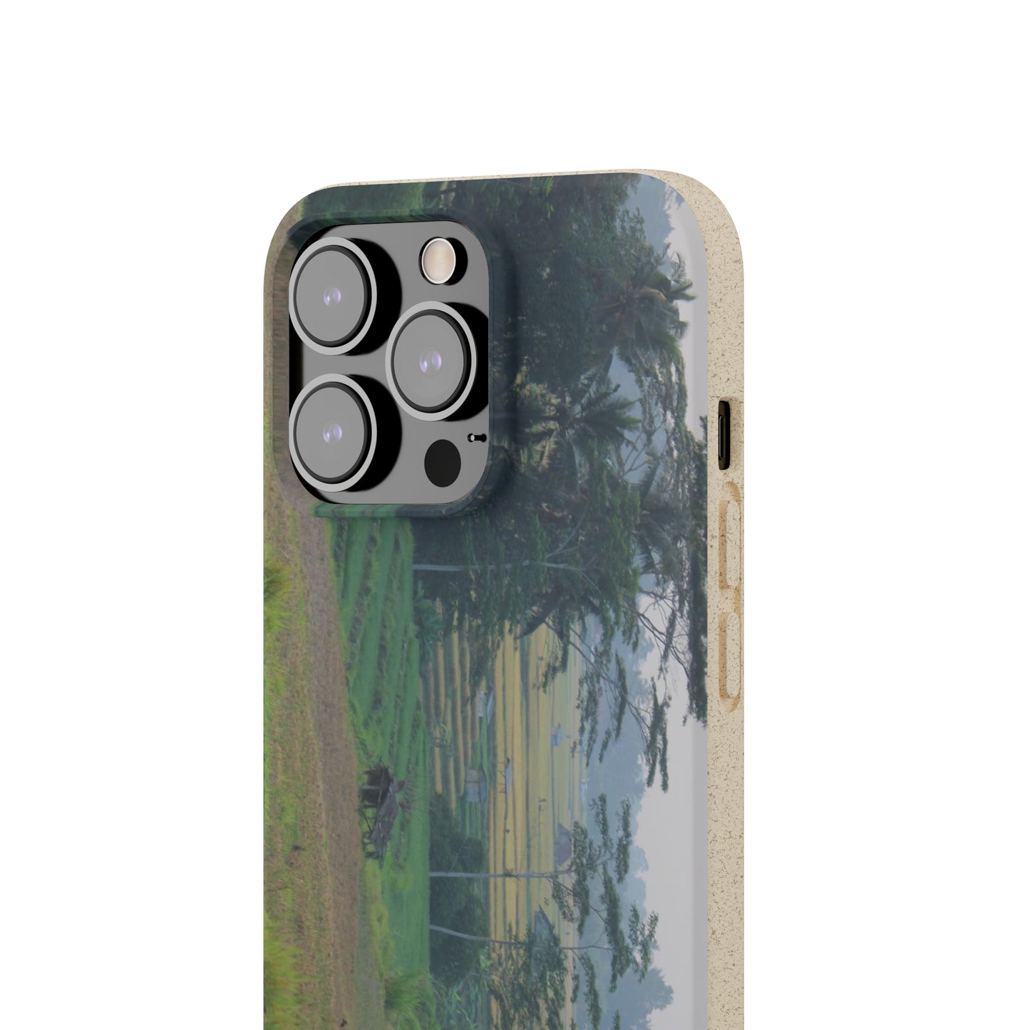 Rice fields - Biodegradable Cases