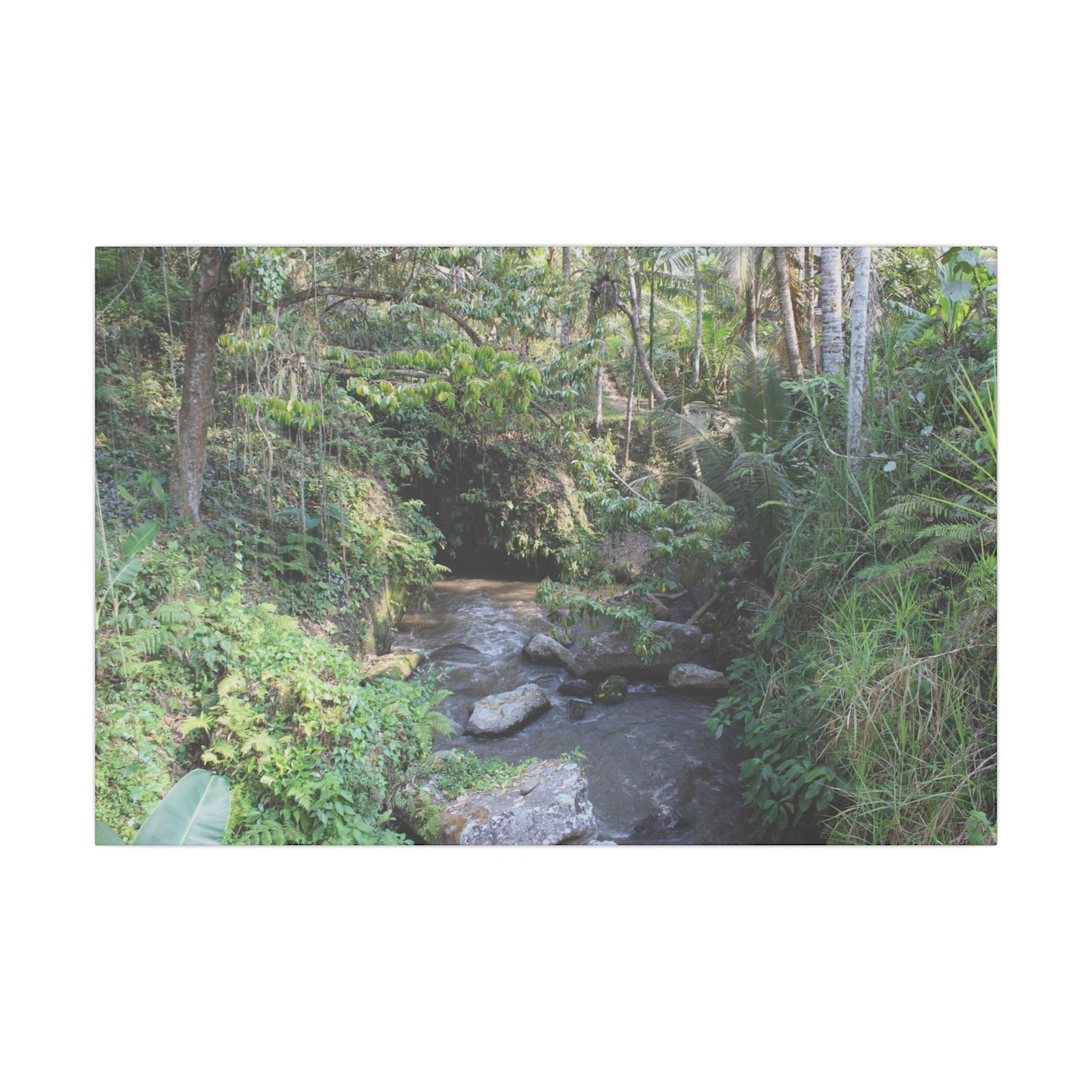 Rainforest Stream - Matte Canvas, Stretched, 0.75"