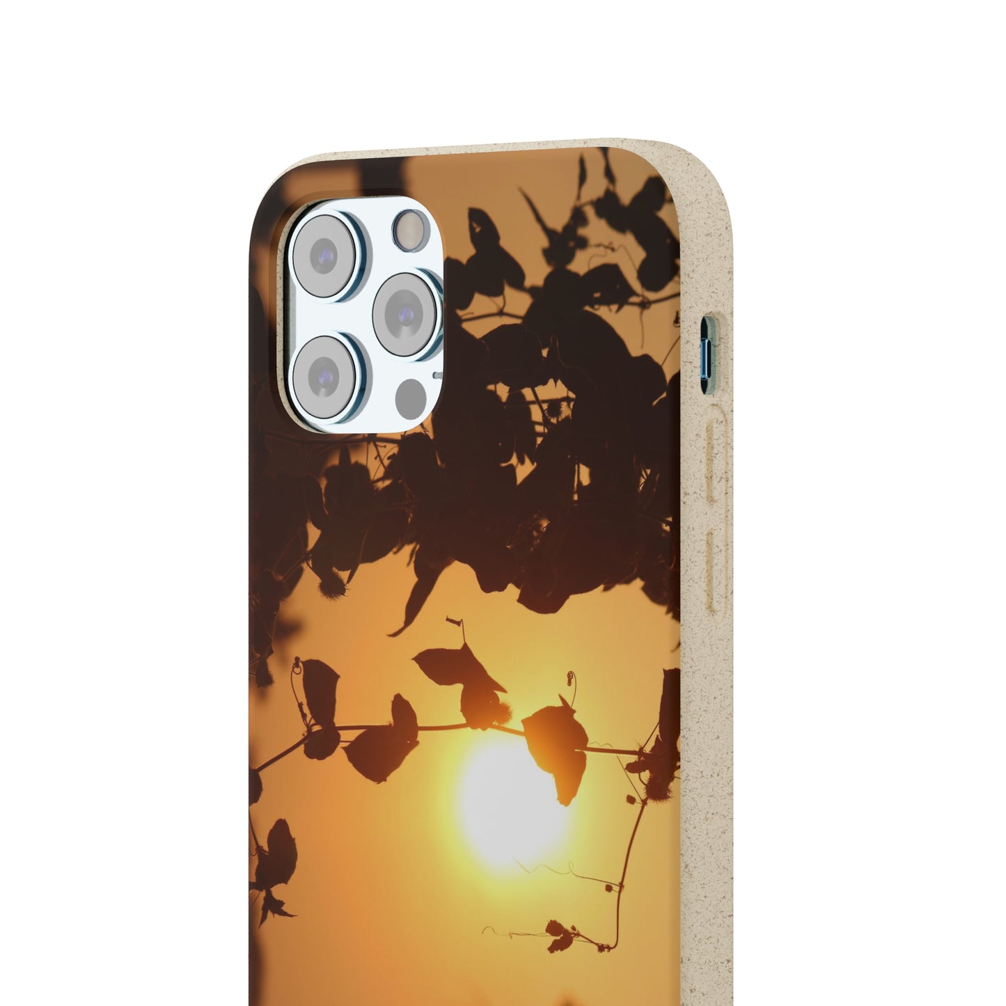 Sunset - Biodegradable Cases