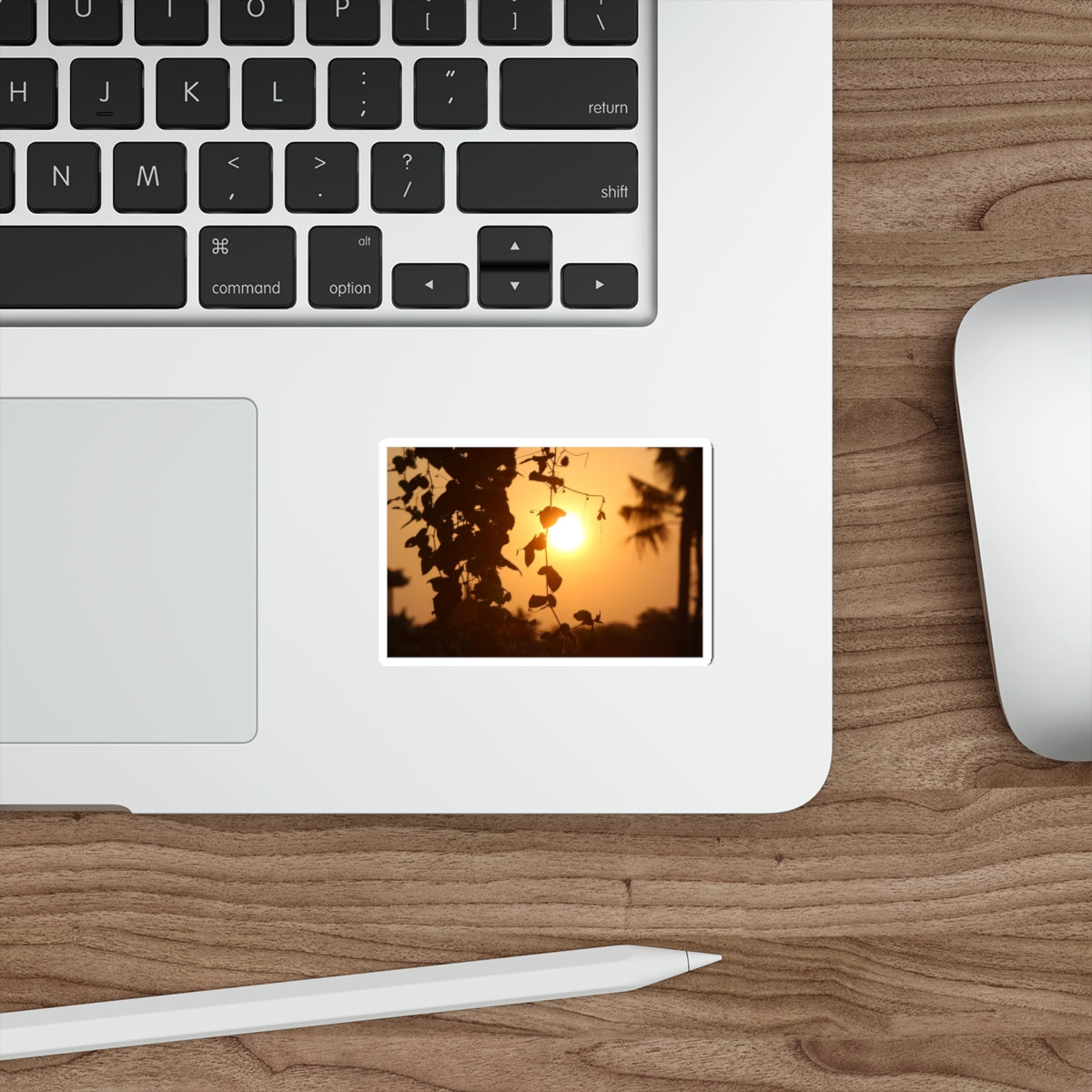 Die-Cut Stickers