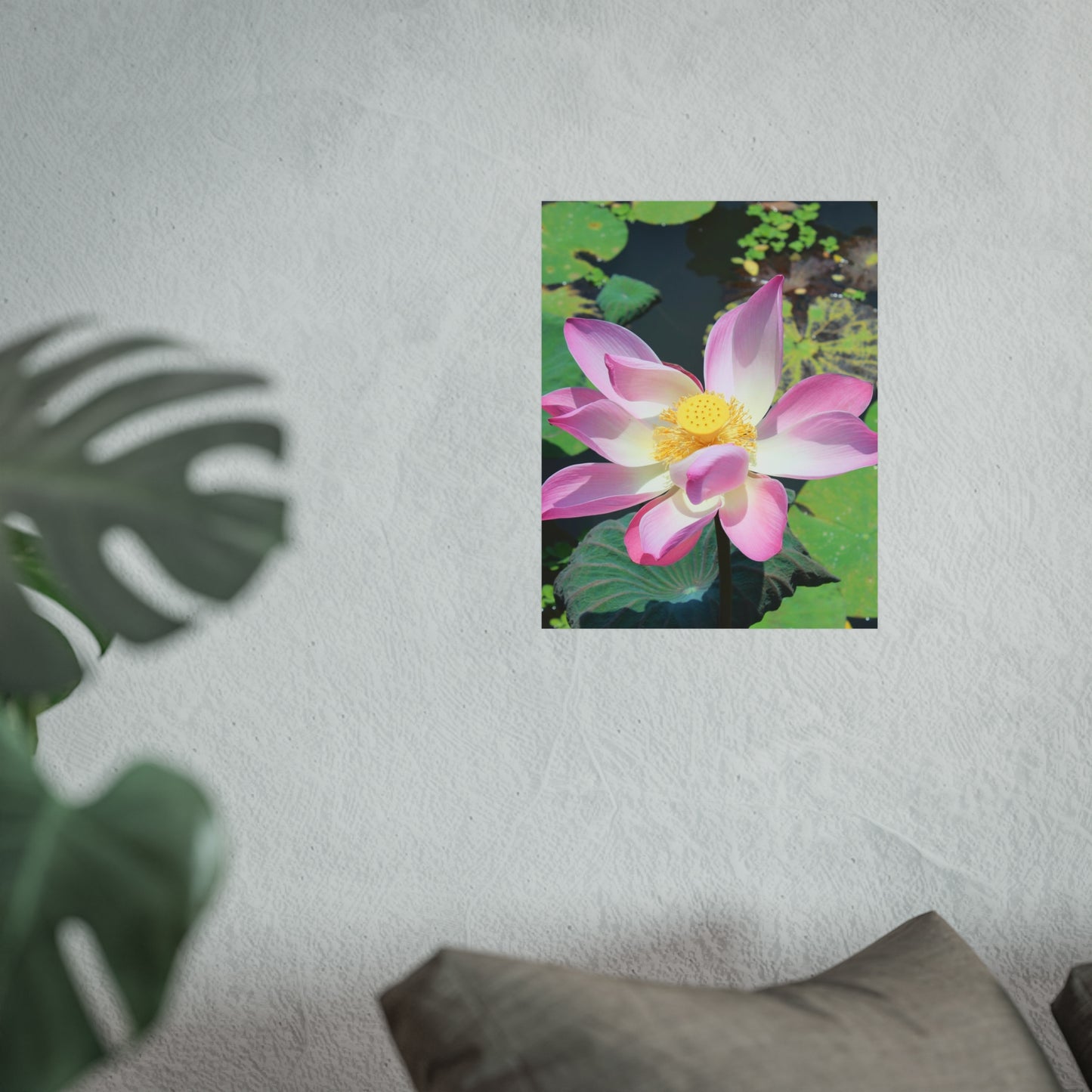 Pink lotus - Fine Art Posters