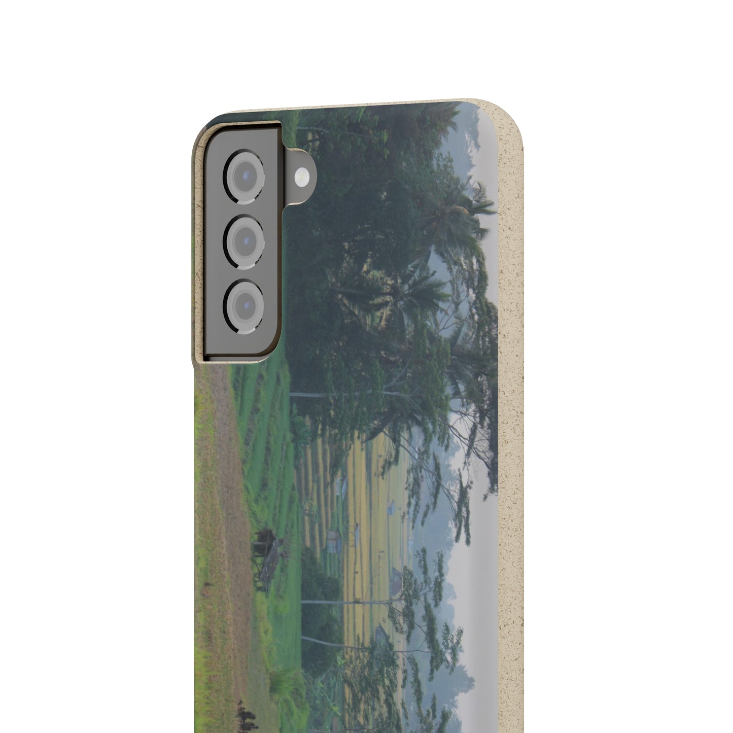 Rice fields - Biodegradable Cases