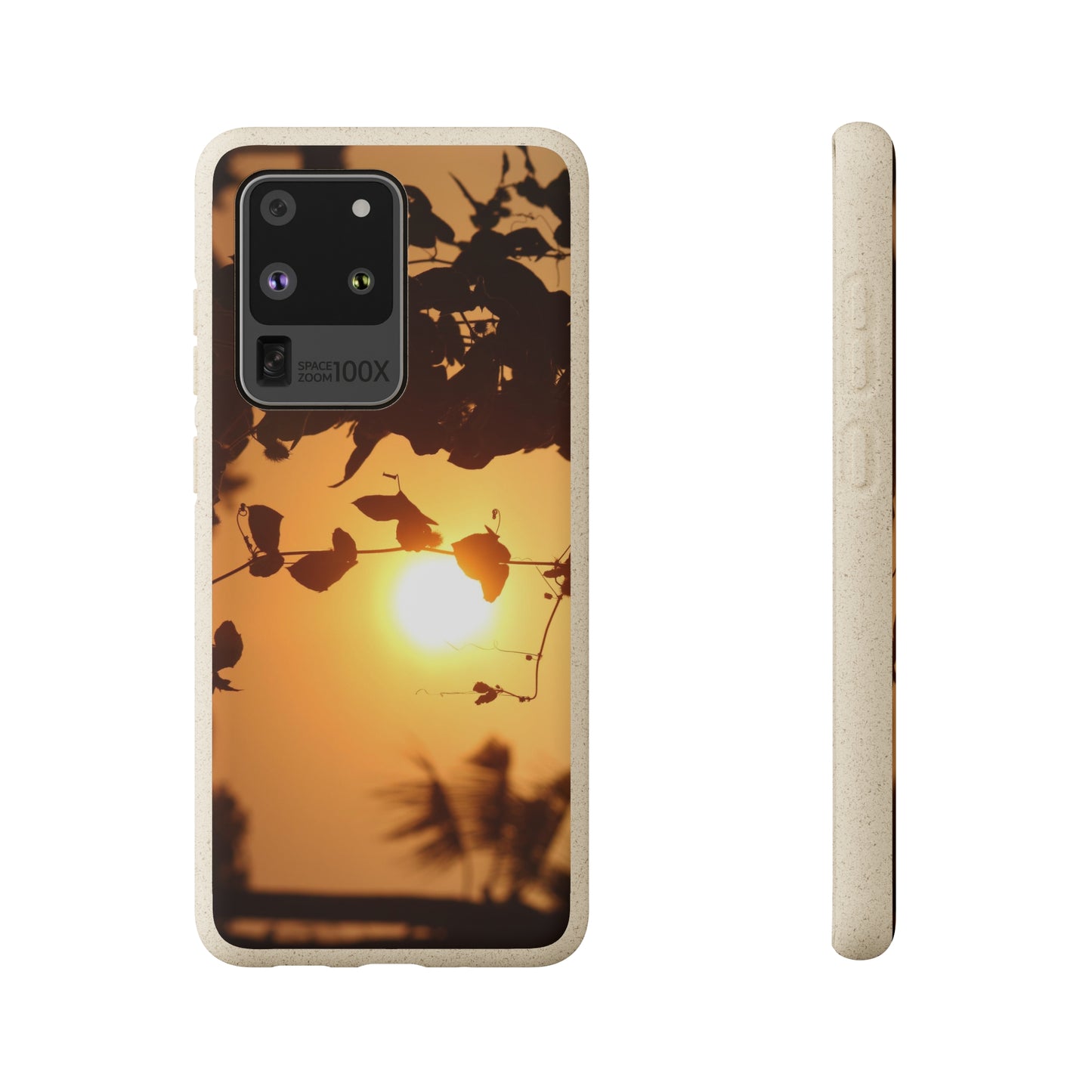 Sunset - Biodegradable Cases