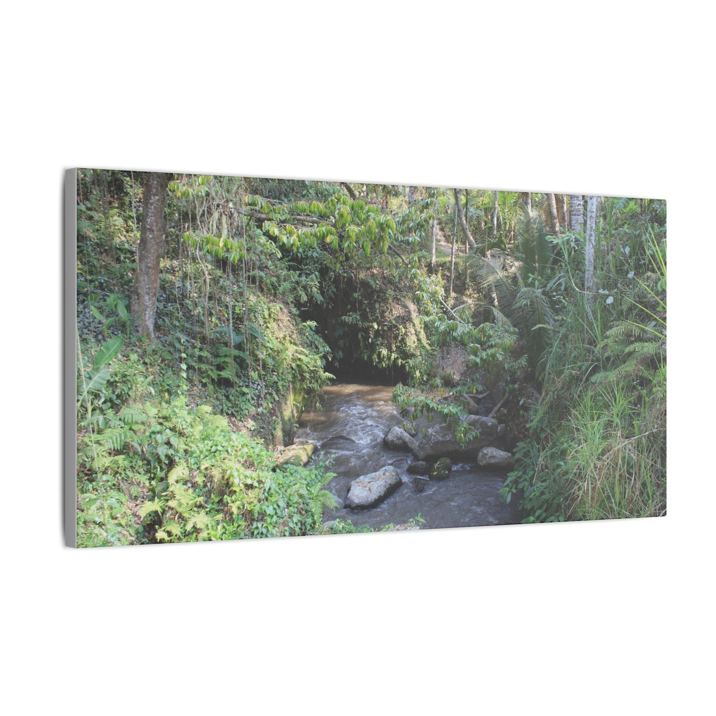 Rainforest Stream - Matte Canvas, Stretched, 0.75"