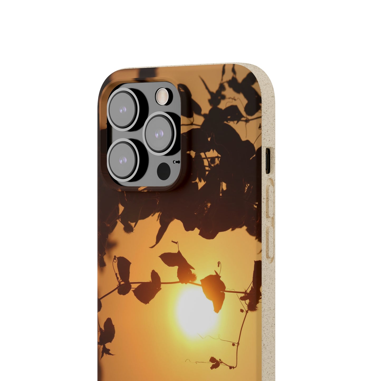 Sunset - Biodegradable Cases