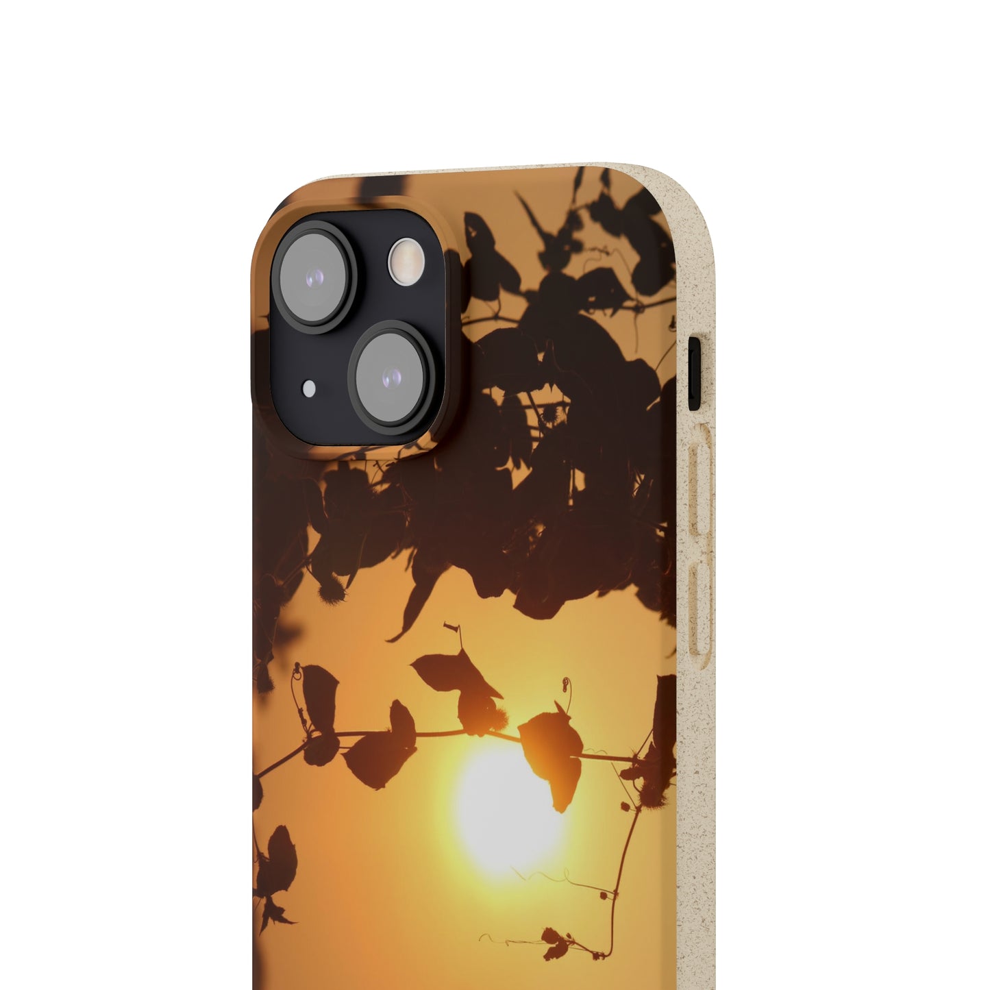Sunset - Biodegradable Cases