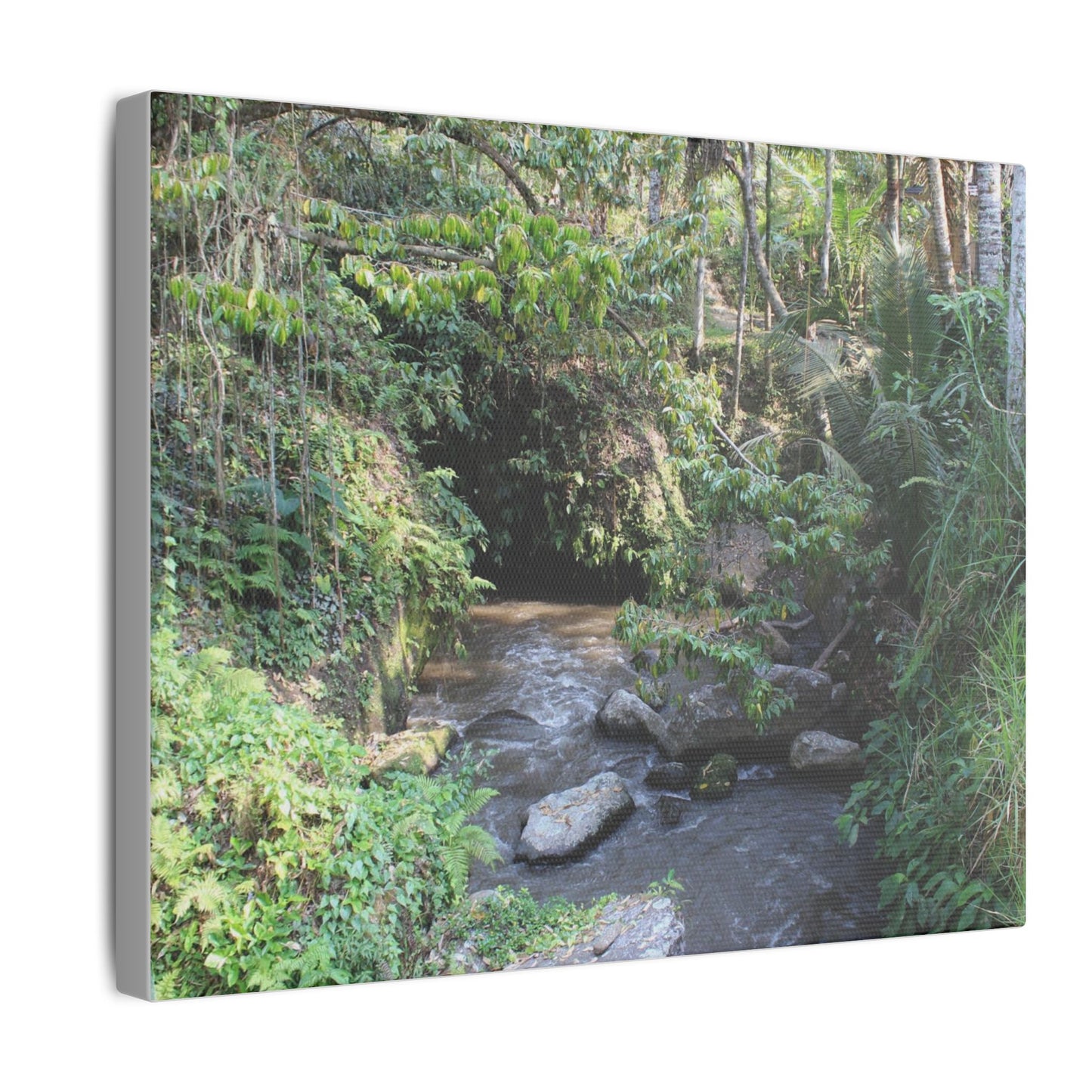 Rainforest Stream - Matte Canvas, Stretched, 0.75"