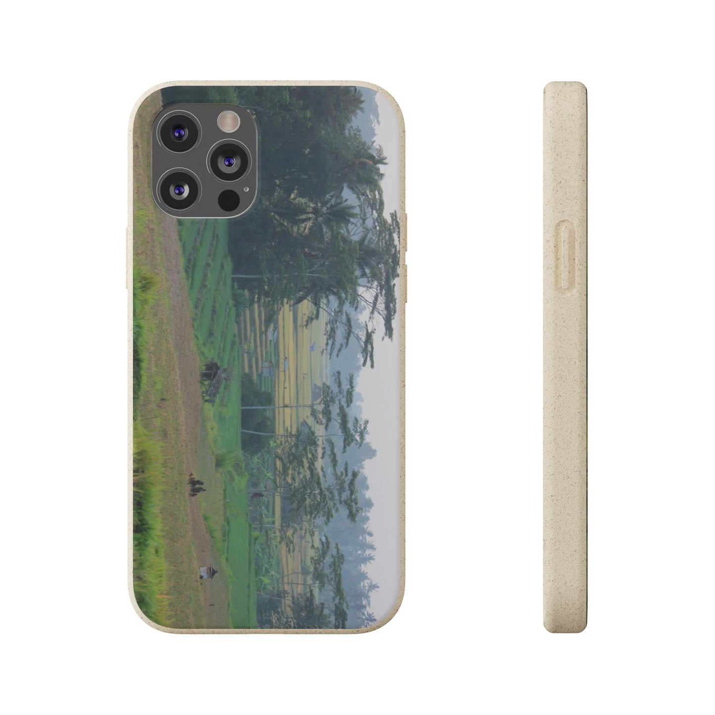 Rice fields - Biodegradable Cases