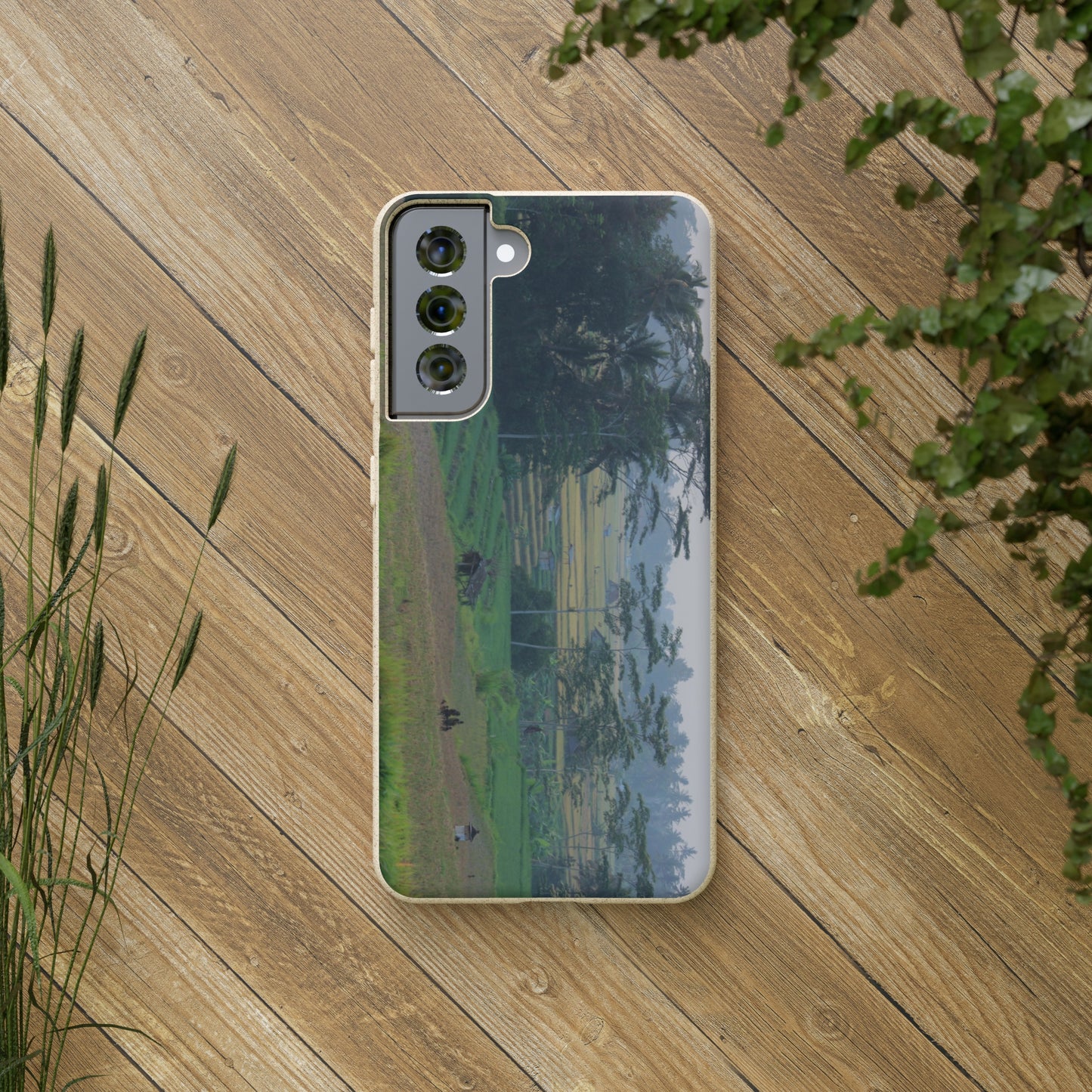 Rice fields - Biodegradable Cases