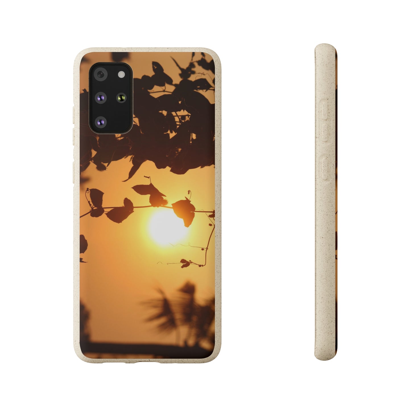 Sunset - Biodegradable Cases