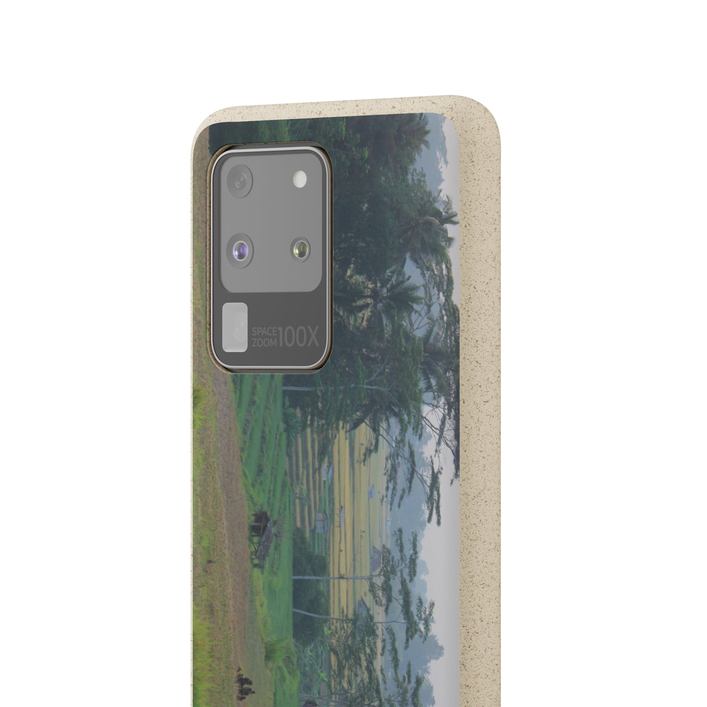 Rice fields - Biodegradable Cases