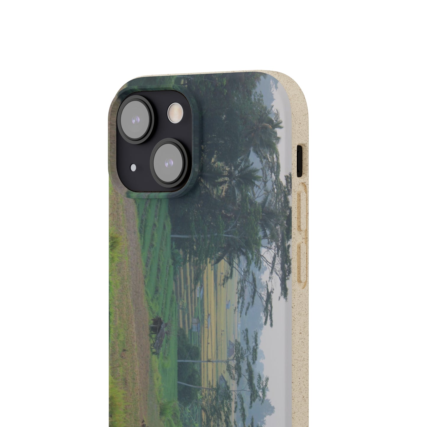 Rice fields - Biodegradable Cases
