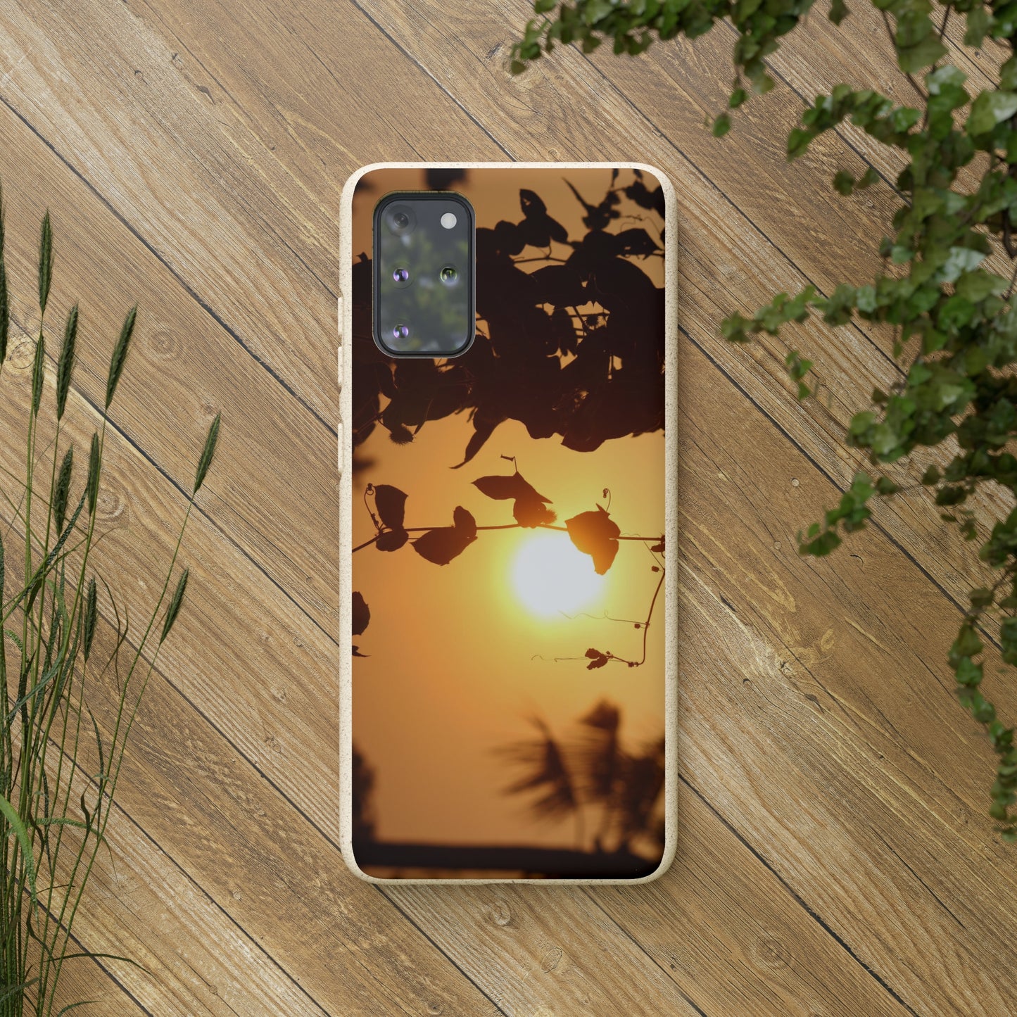 Sunset - Biodegradable Cases