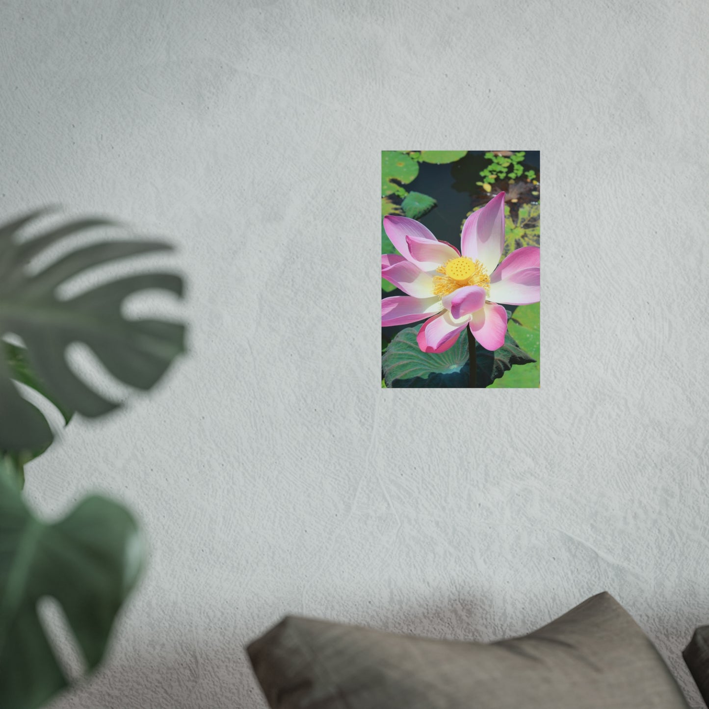 Pink lotus - Fine Art Posters