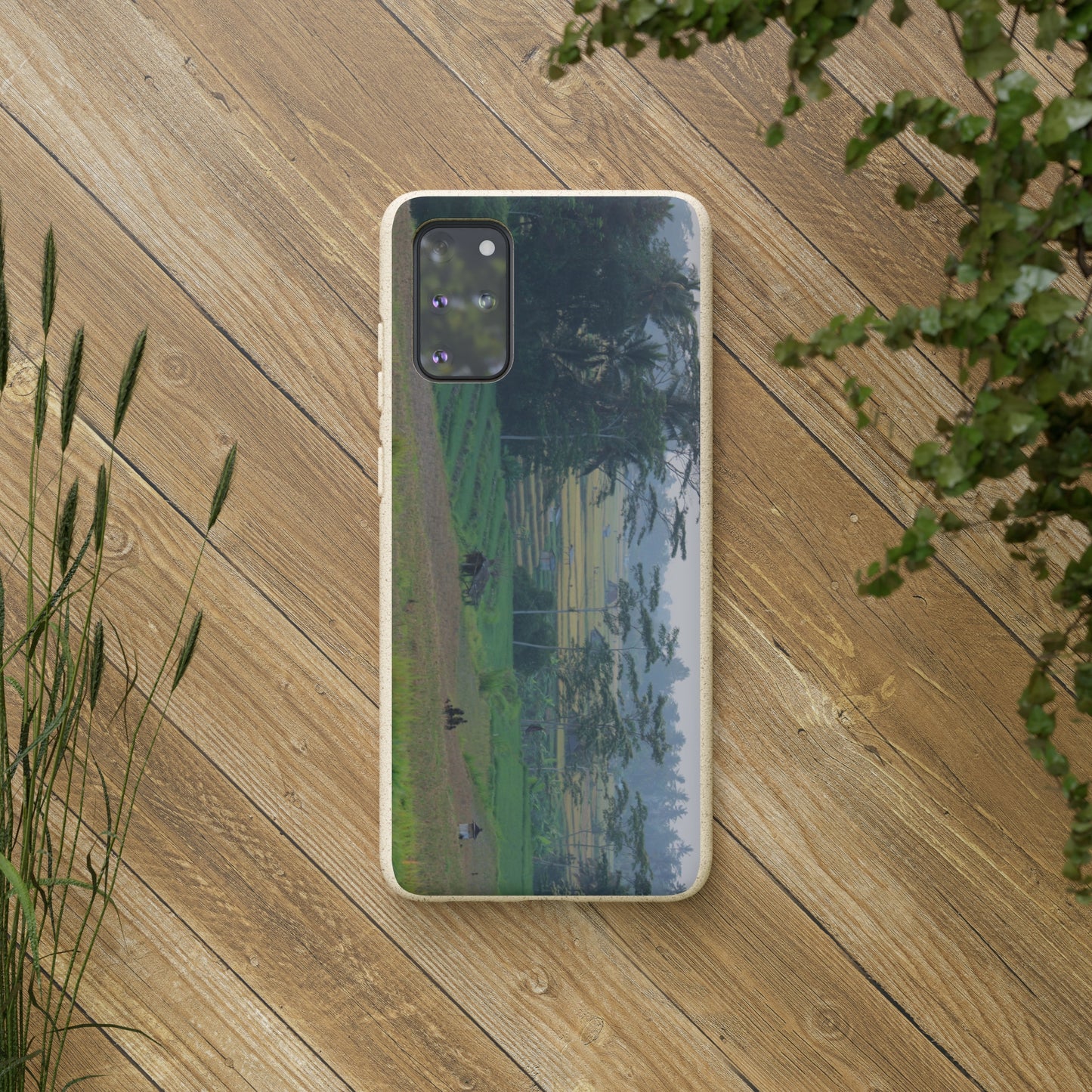 Rice fields - Biodegradable Cases