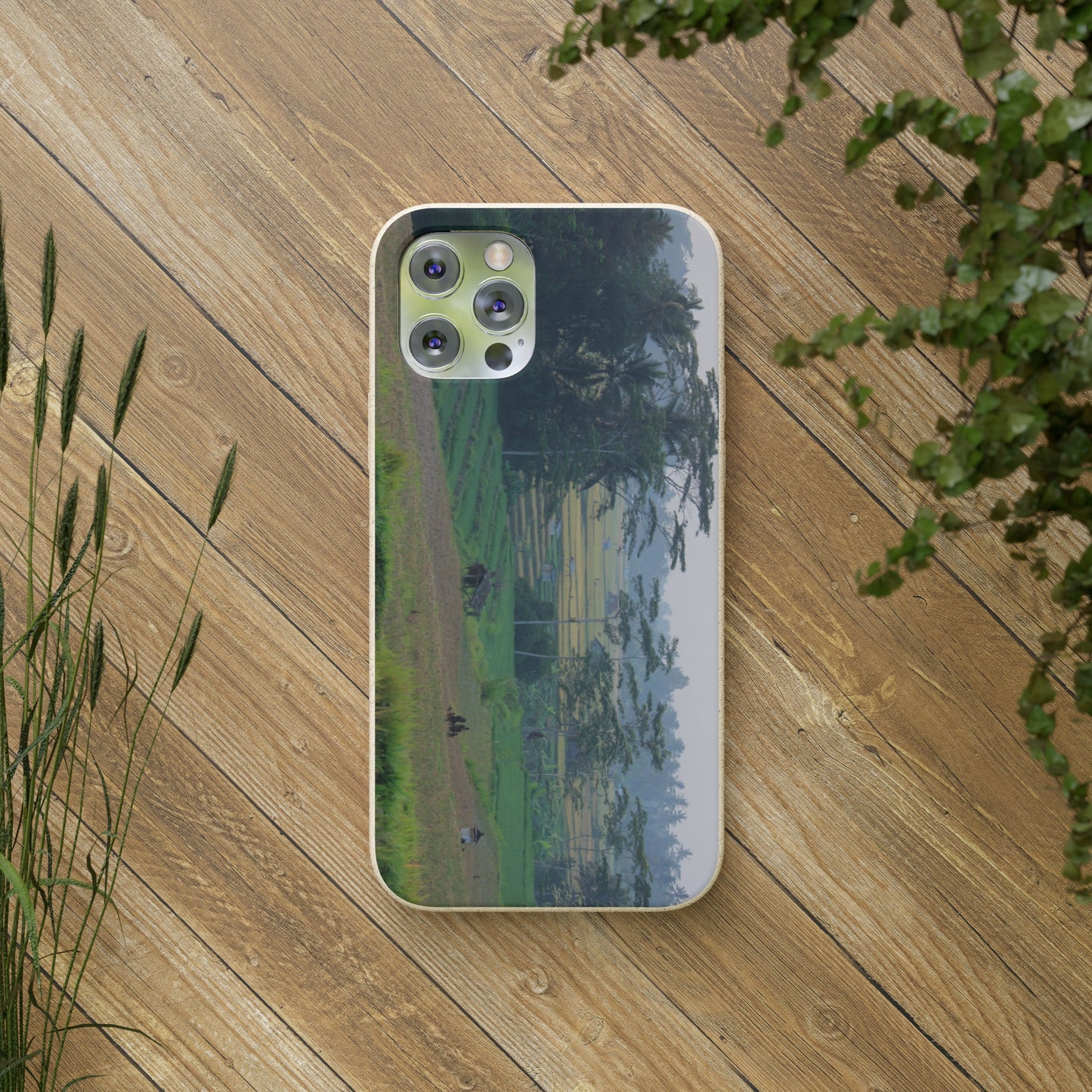 Rice fields - Biodegradable Cases
