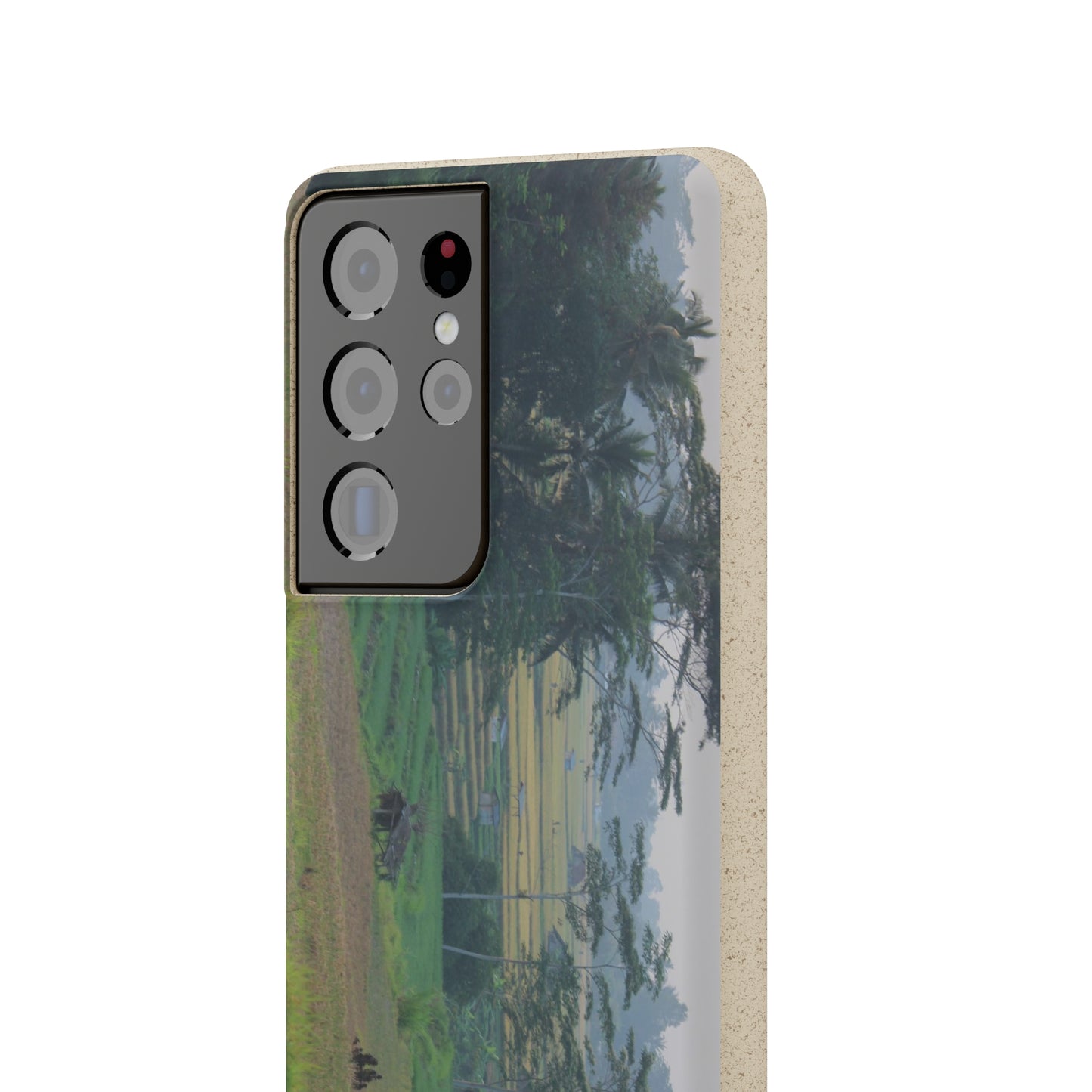Rice fields - Biodegradable Cases