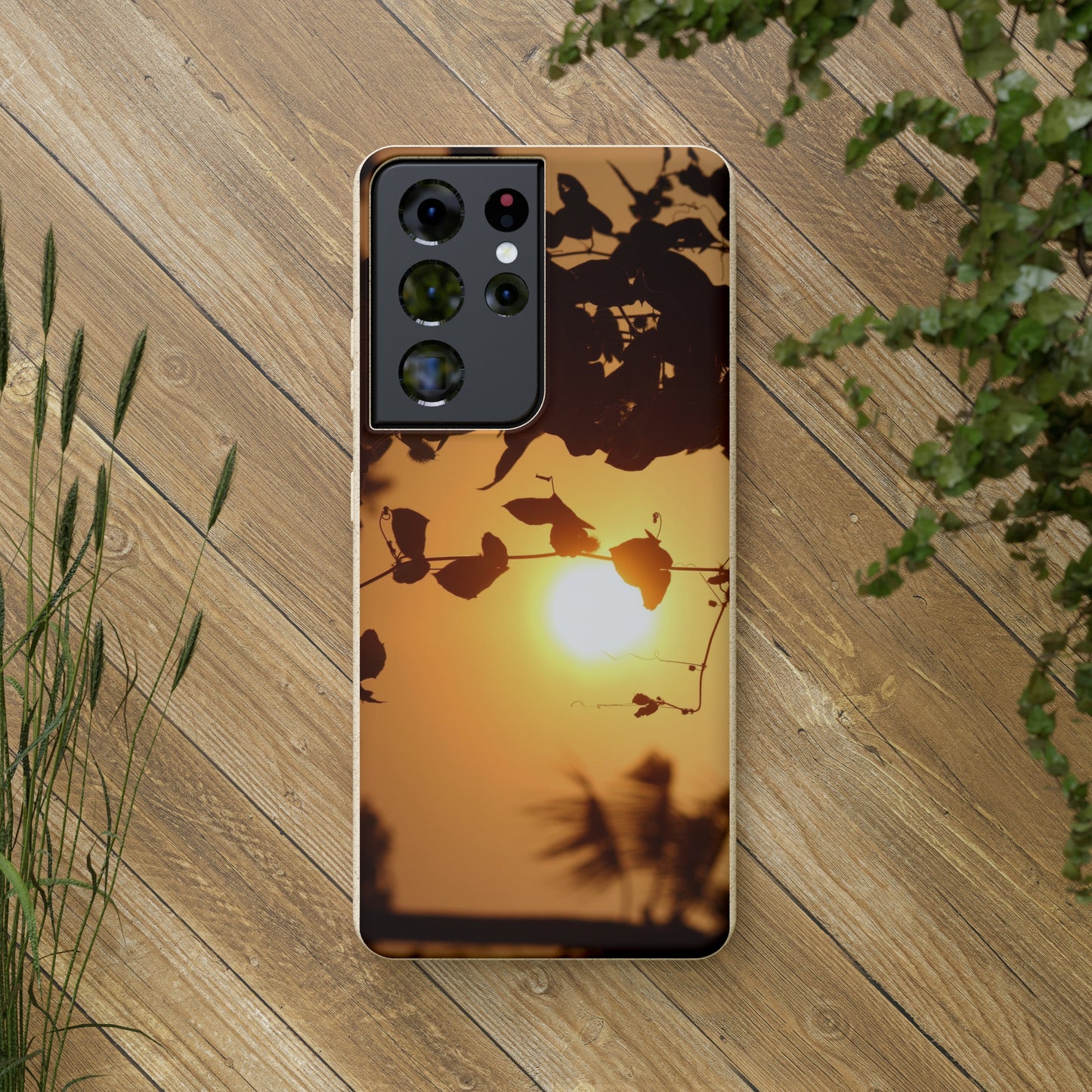 Sunset - Biodegradable Cases