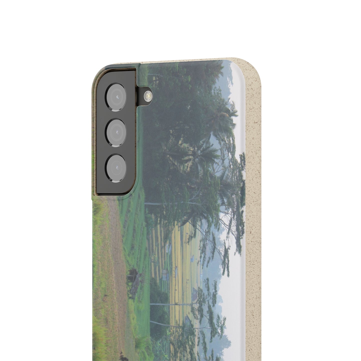 Rice fields - Biodegradable Cases