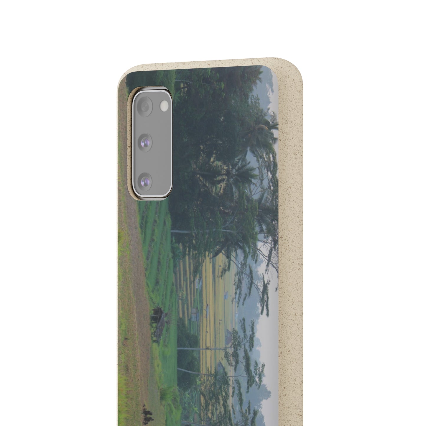 Rice fields - Biodegradable Cases
