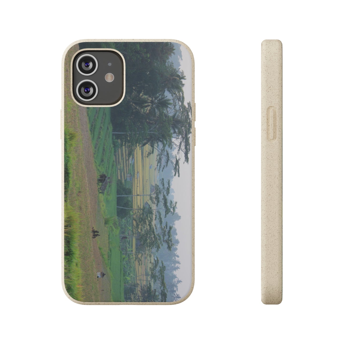 Rice fields - Biodegradable Cases