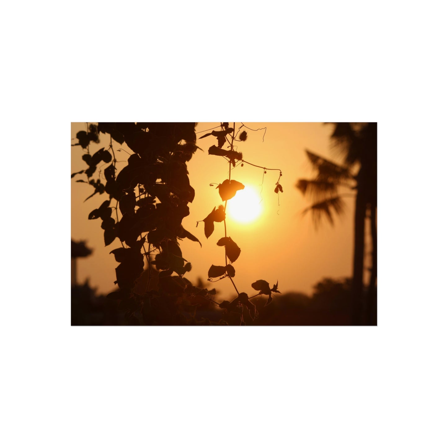 Ocean sunset - Fine Art Posters