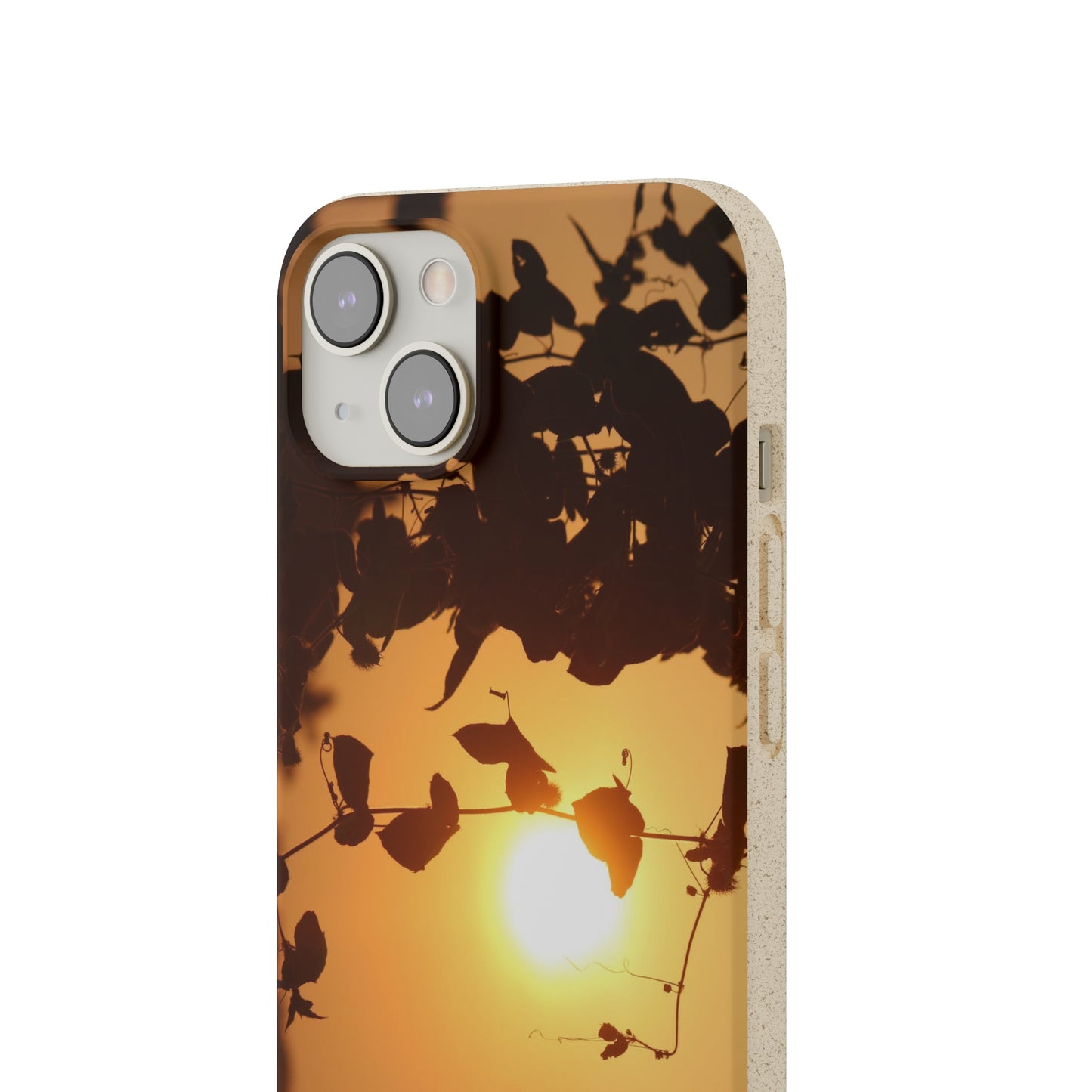 Sunset - Biodegradable Cases