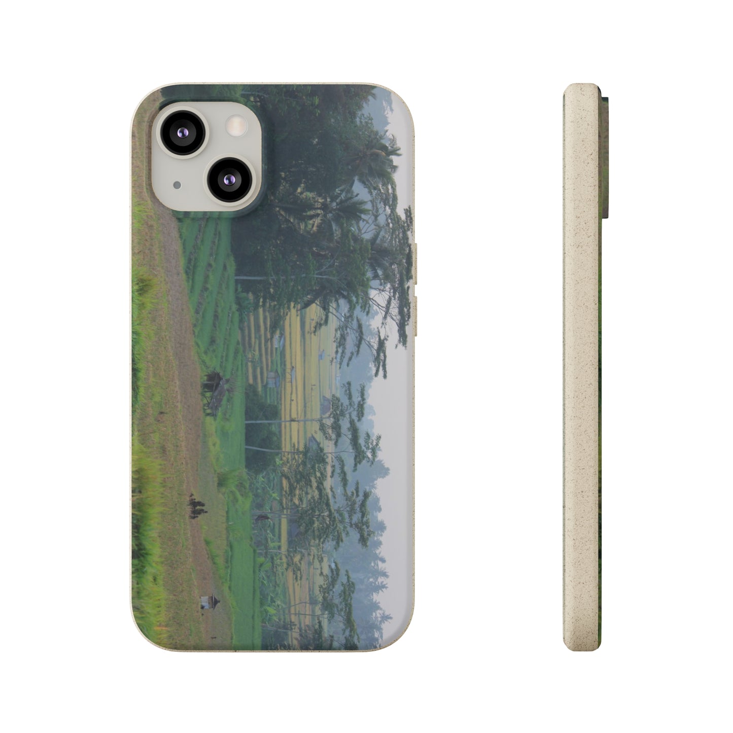 Rice fields - Biodegradable Cases