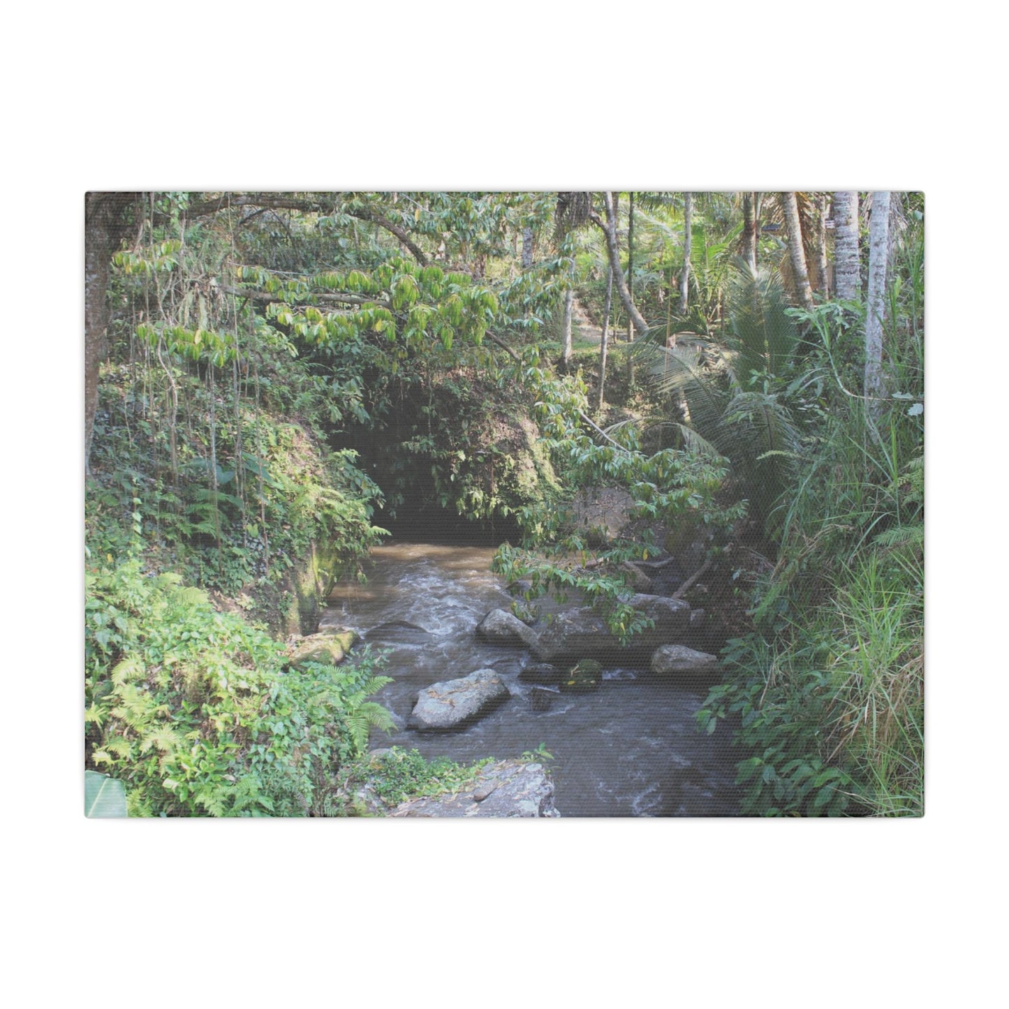 Rainforest Stream - Matte Canvas, Stretched, 0.75"