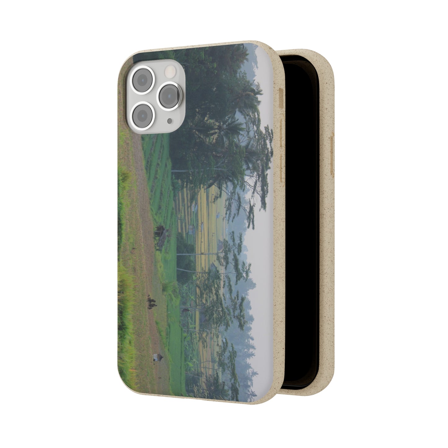 Rice fields - Biodegradable Cases