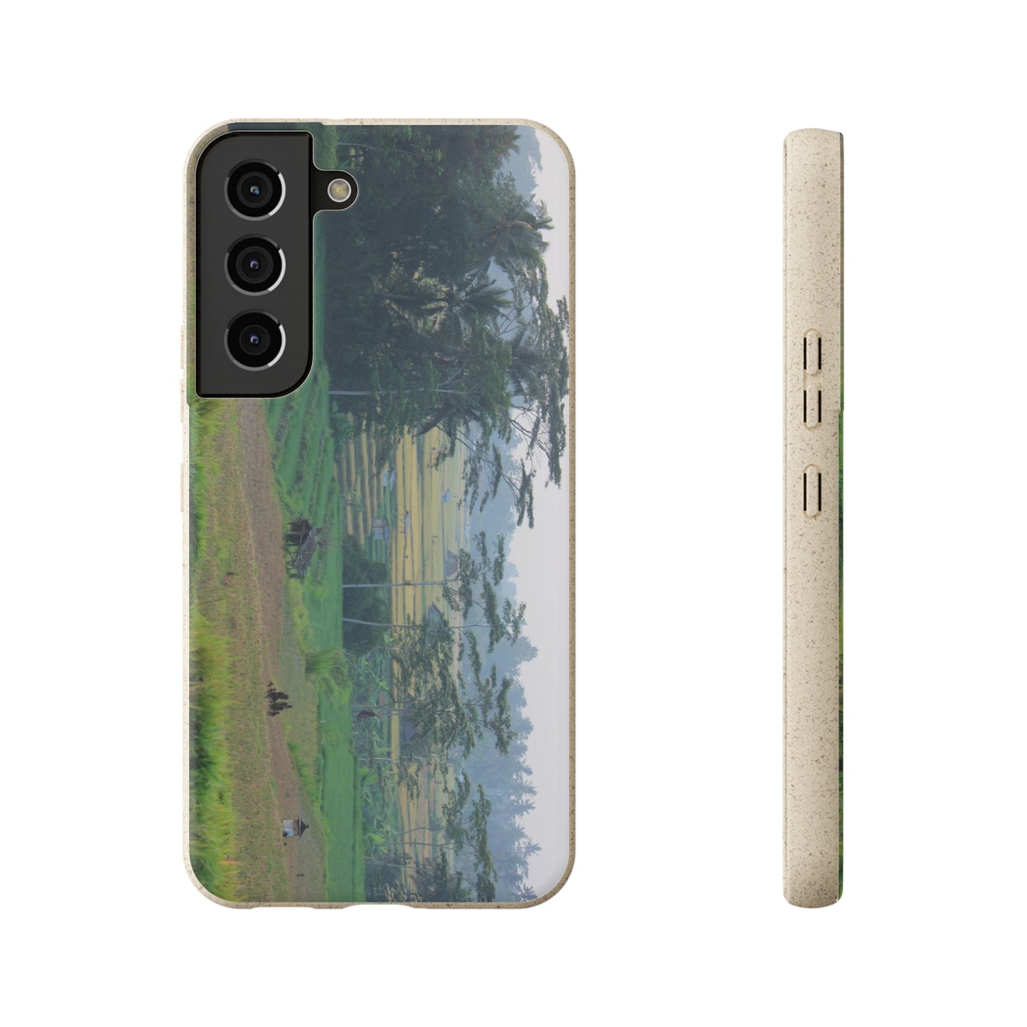 Rice fields - Biodegradable Cases