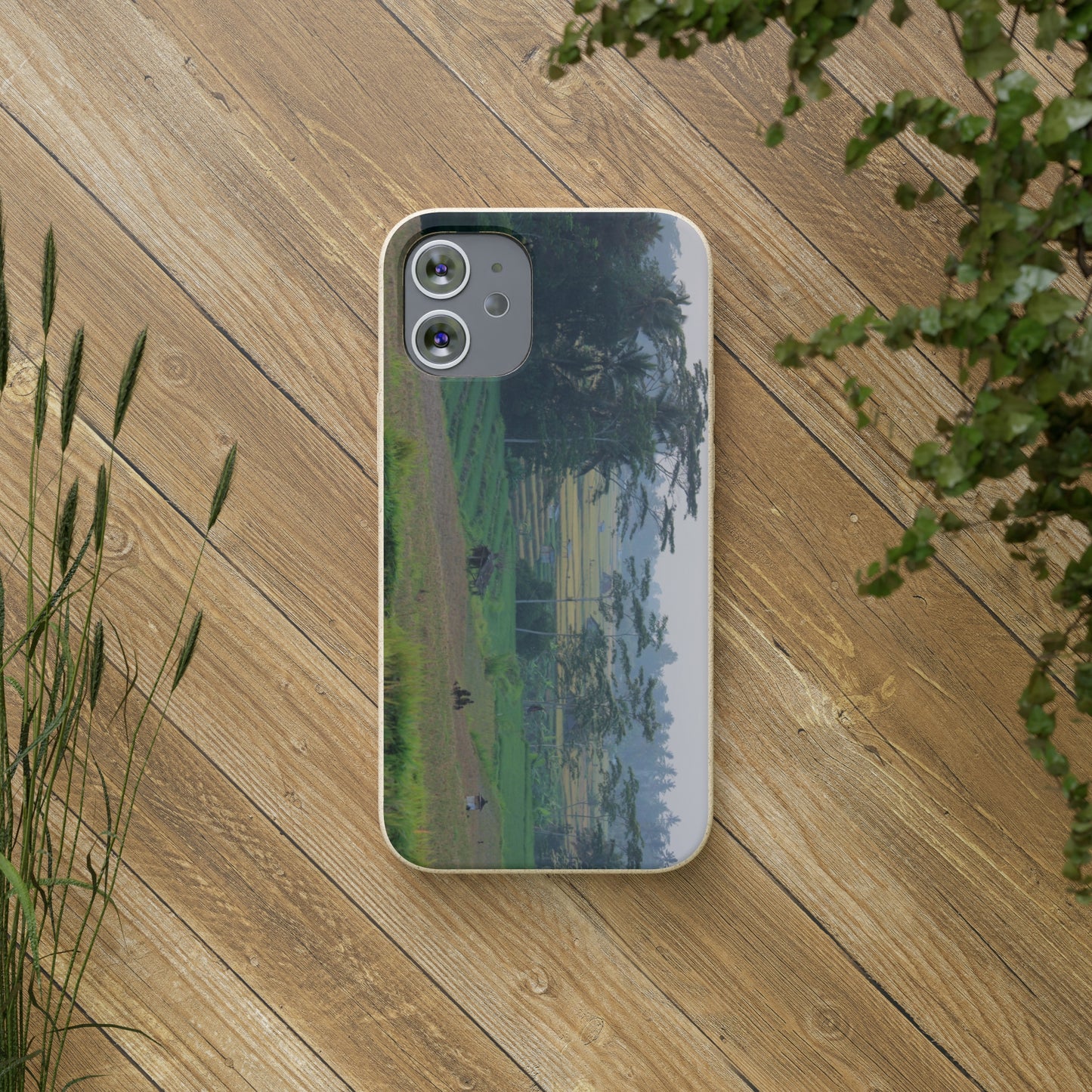 Rice fields - Biodegradable Cases