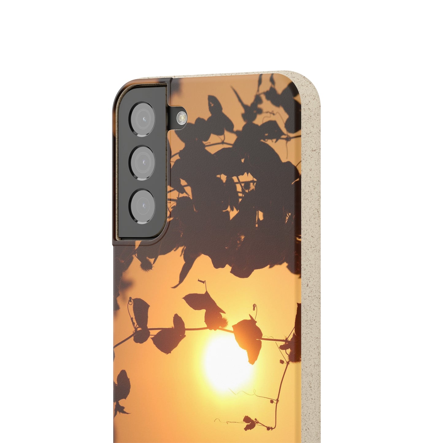 Sunset - Biodegradable Cases