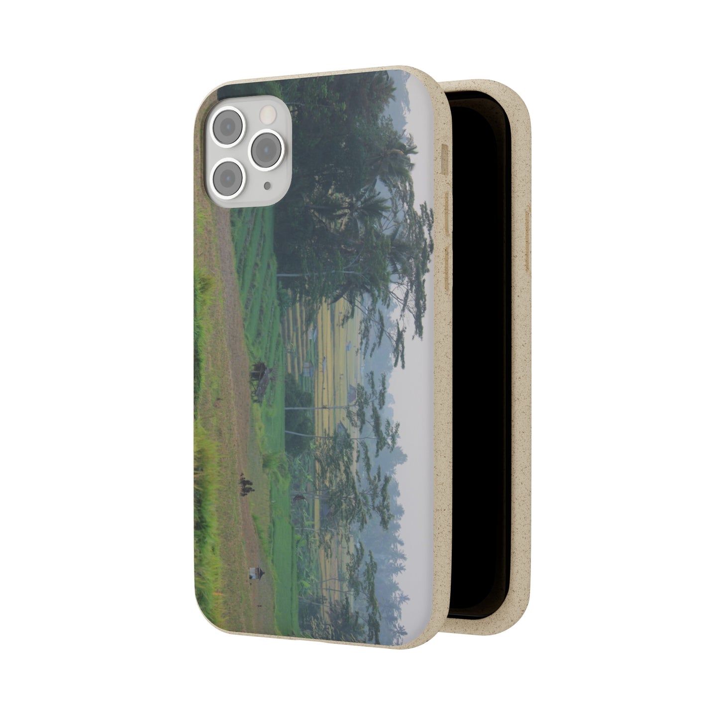 Rice fields - Biodegradable Cases