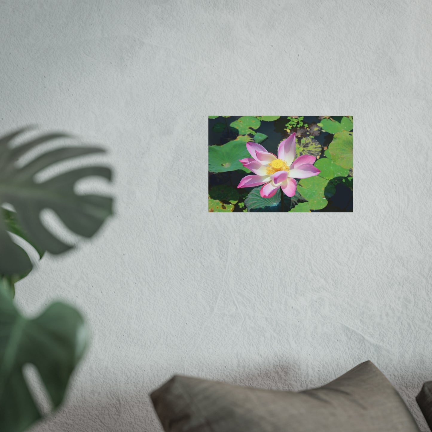 Pink lotus - Fine Art Posters