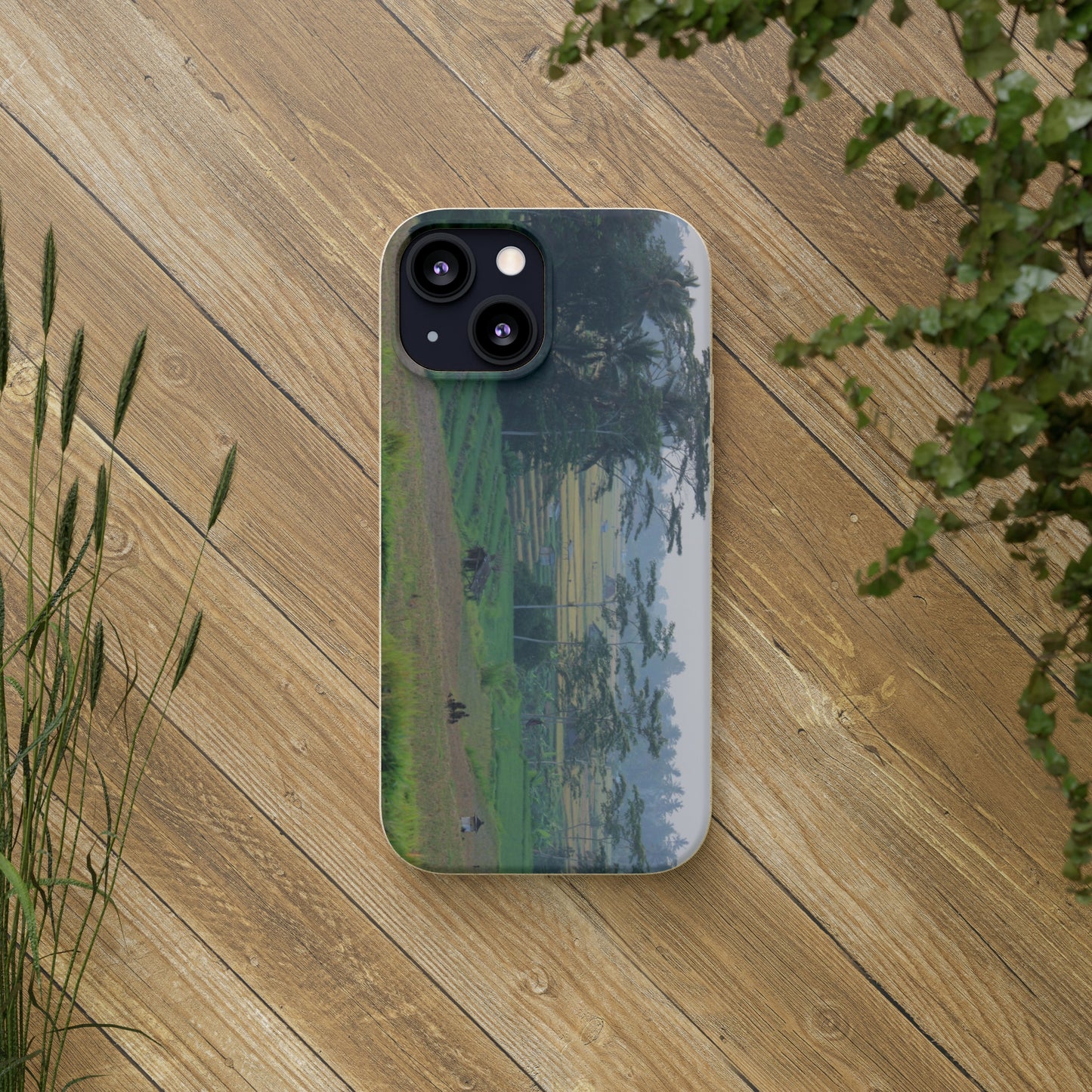 Rice fields - Biodegradable Cases