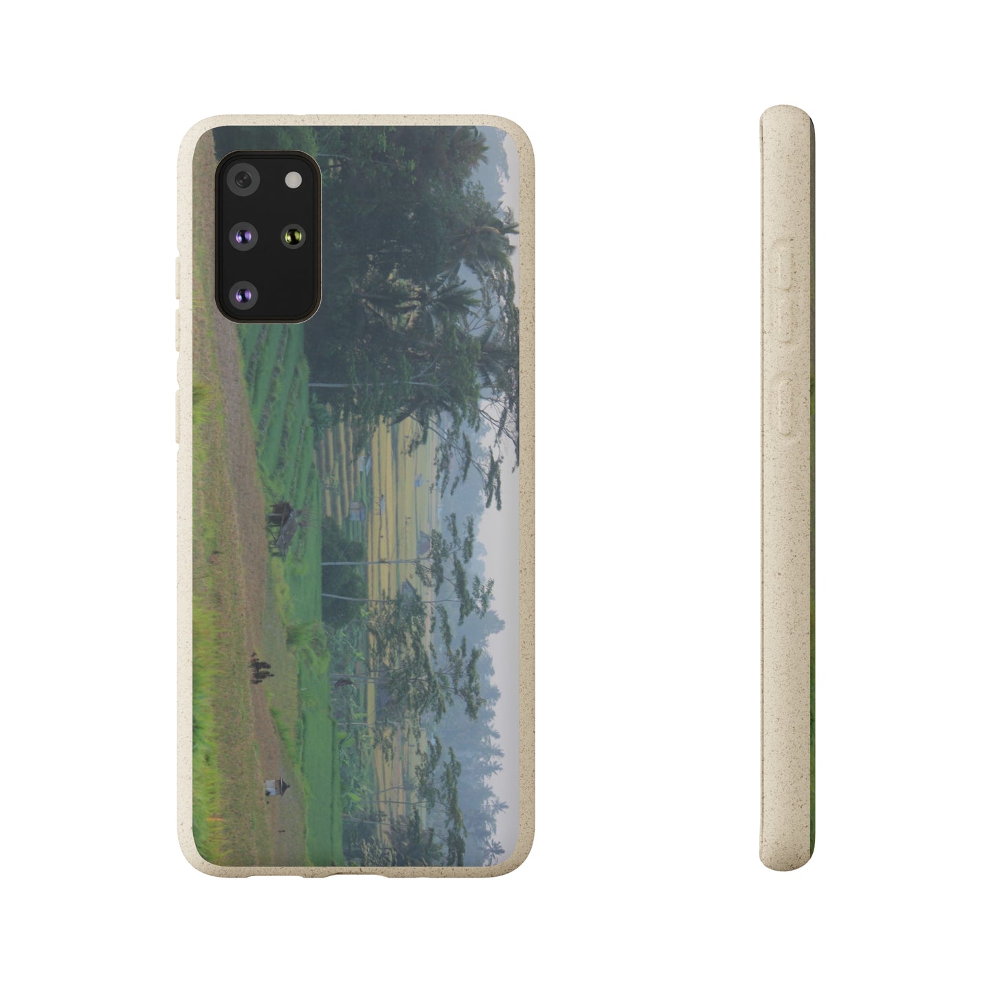 Rice fields - Biodegradable Cases
