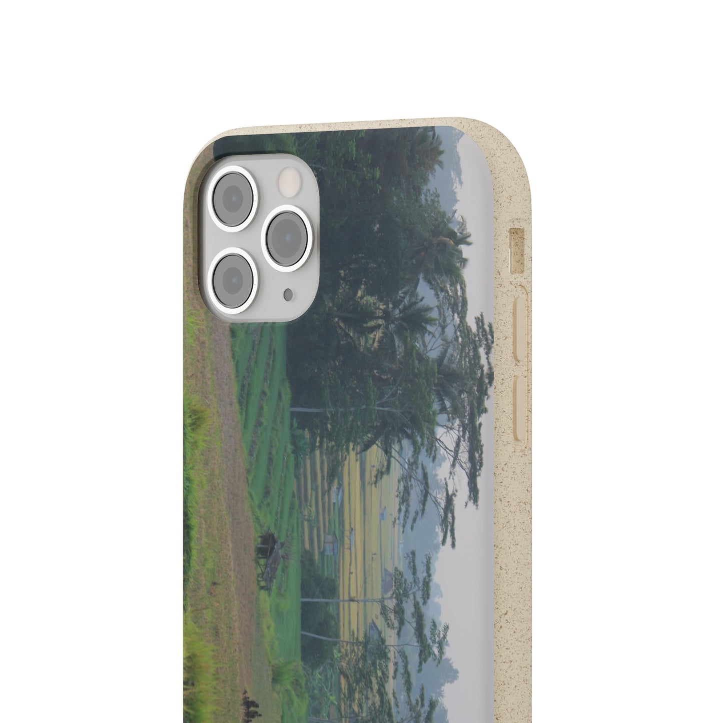 Rice fields - Biodegradable Cases
