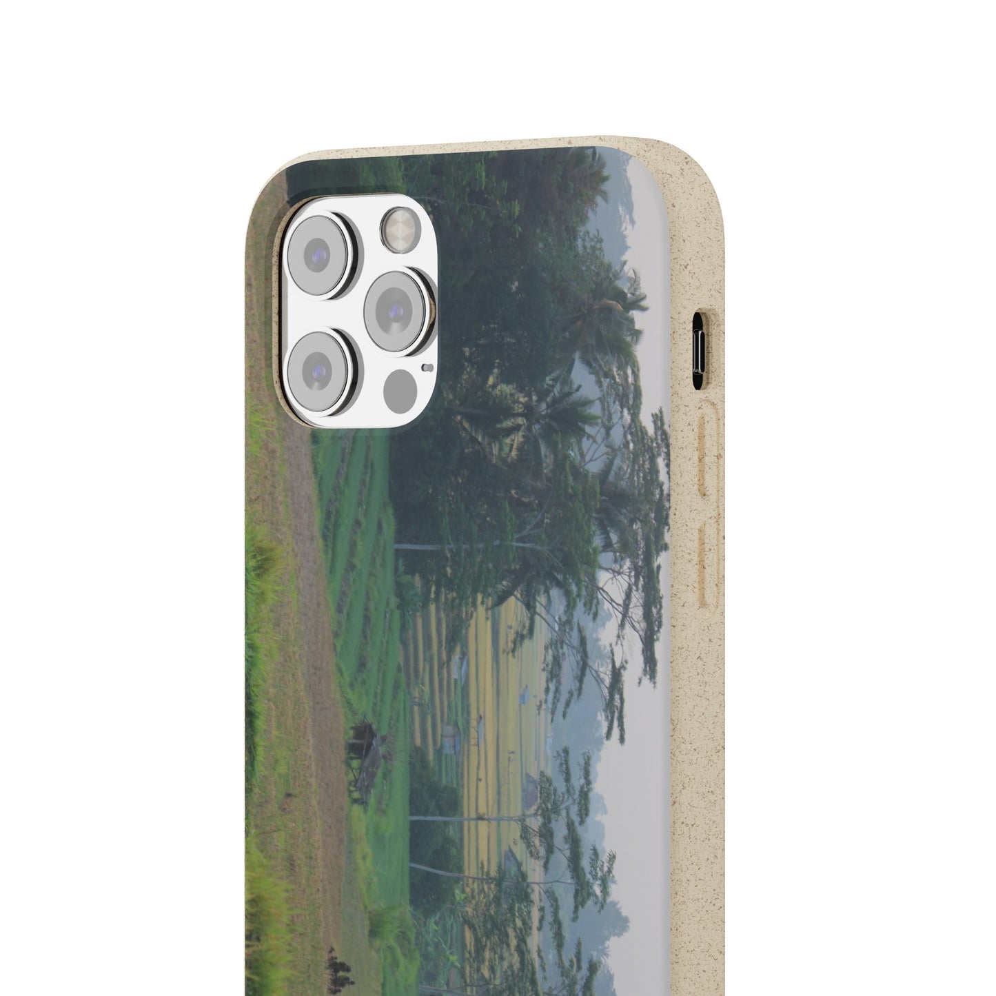 Rice fields - Biodegradable Cases