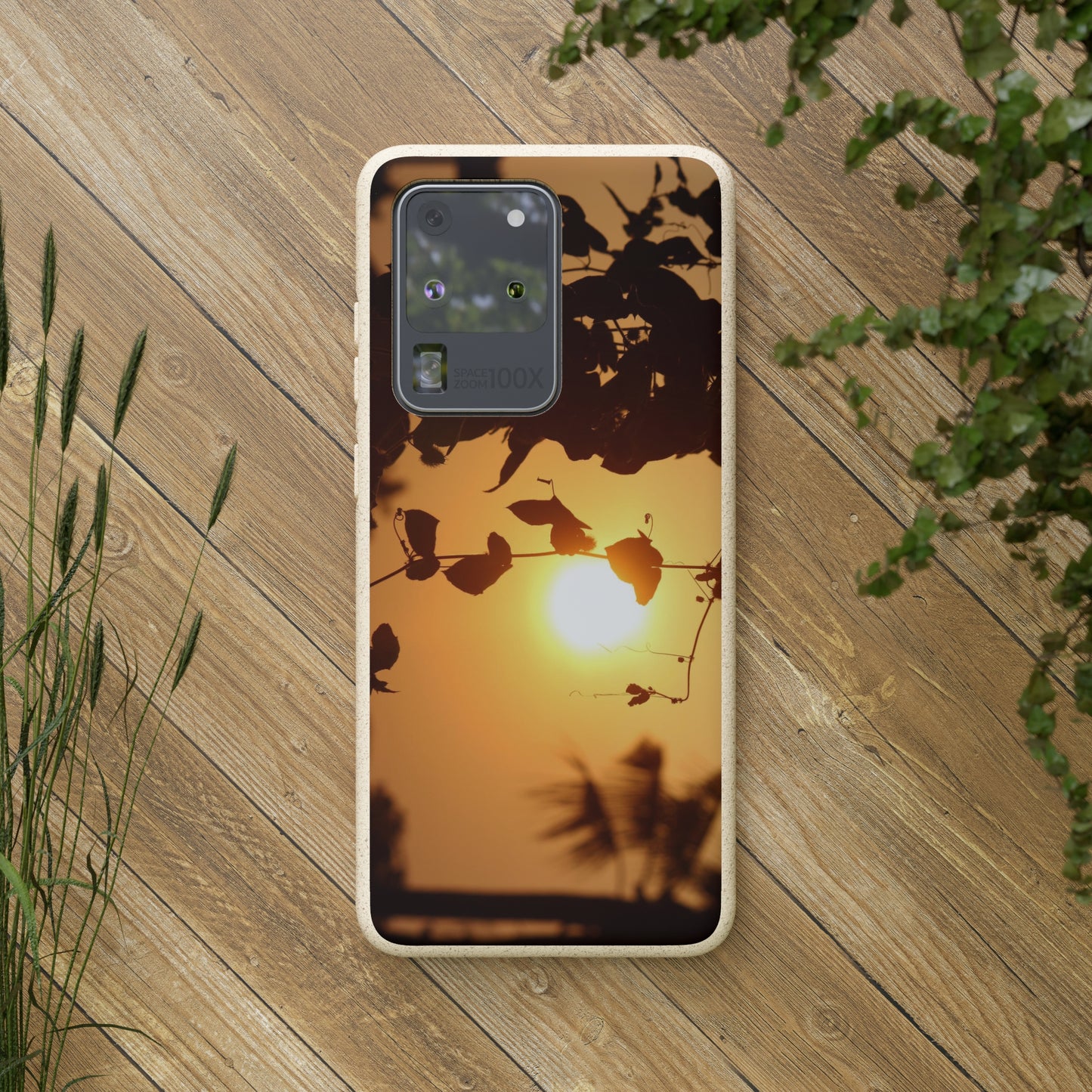 Sunset - Biodegradable Cases