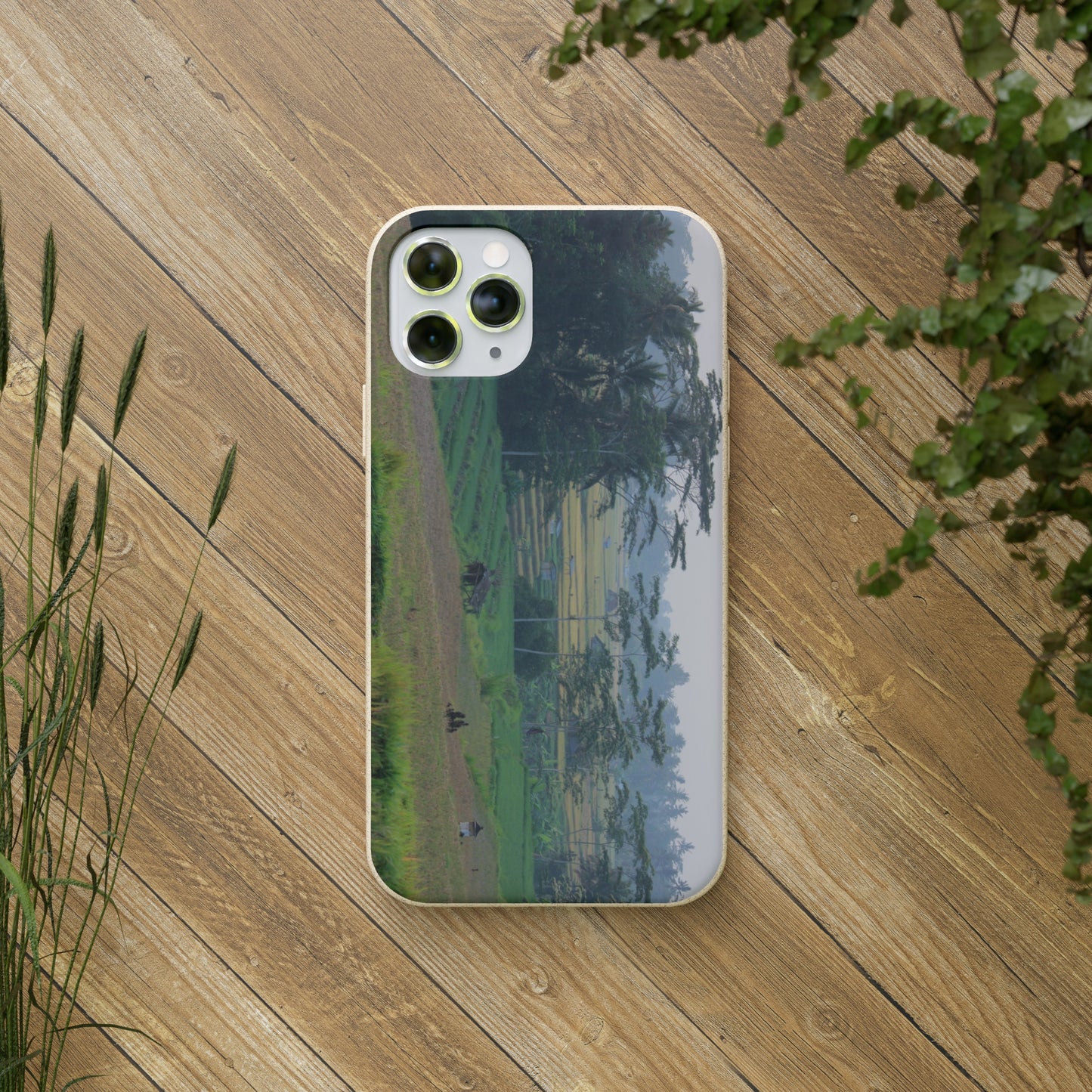 Rice fields - Biodegradable Cases