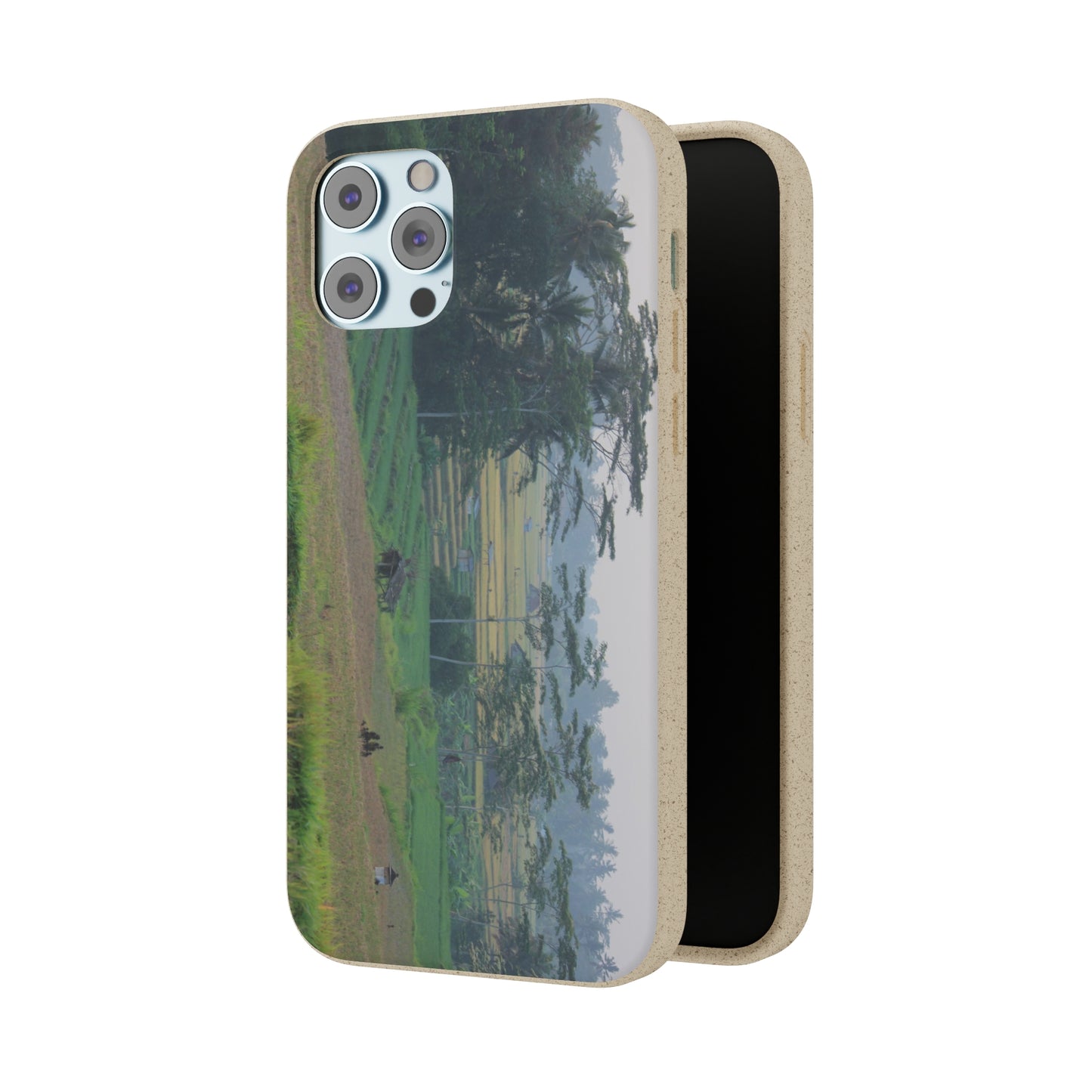 Rice fields - Biodegradable Cases
