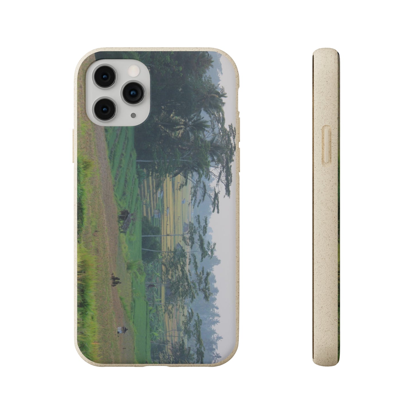 Rice fields - Biodegradable Cases