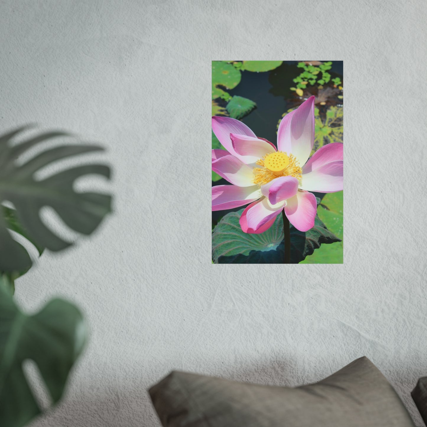 Pink lotus - Fine Art Posters