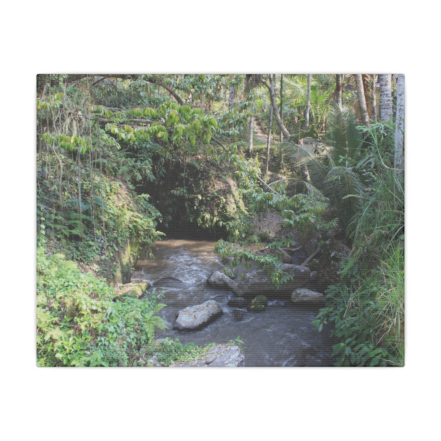 Rainforest Stream - Matte Canvas, Stretched, 0.75"
