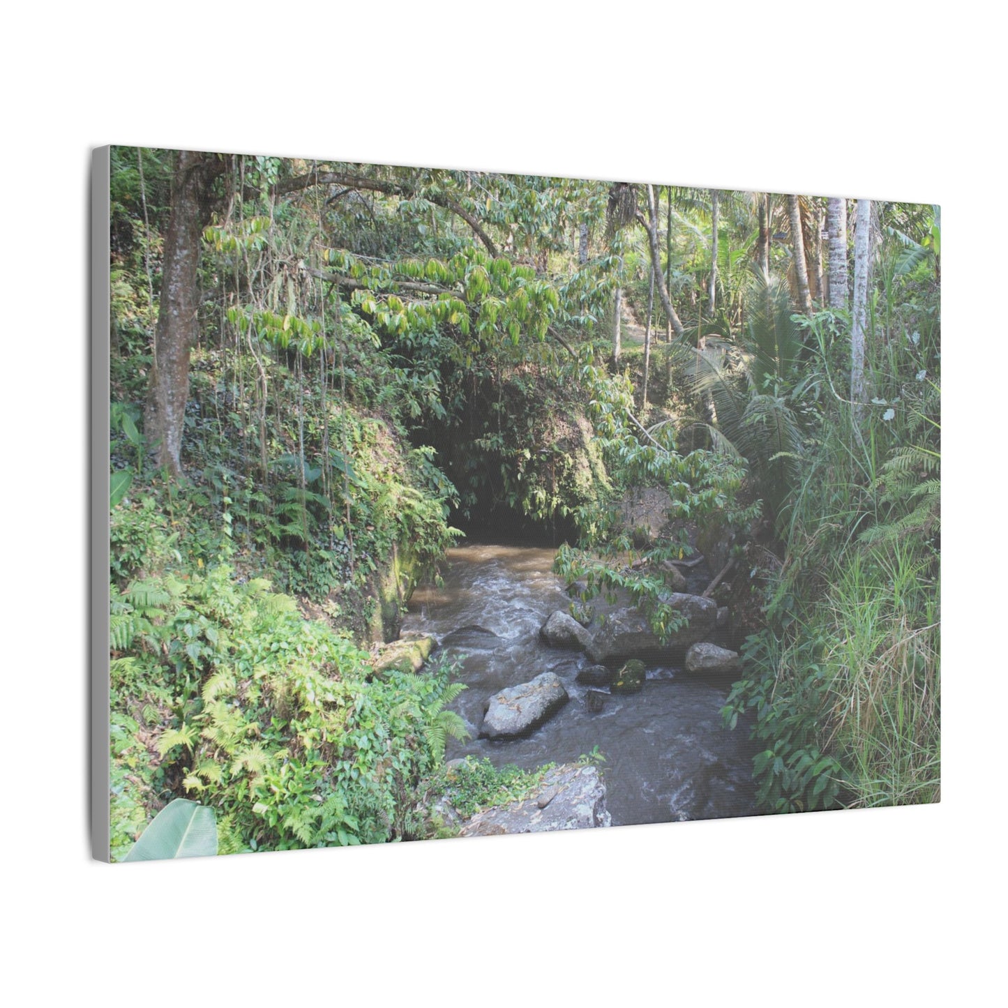 Rainforest Stream - Matte Canvas, Stretched, 0.75"